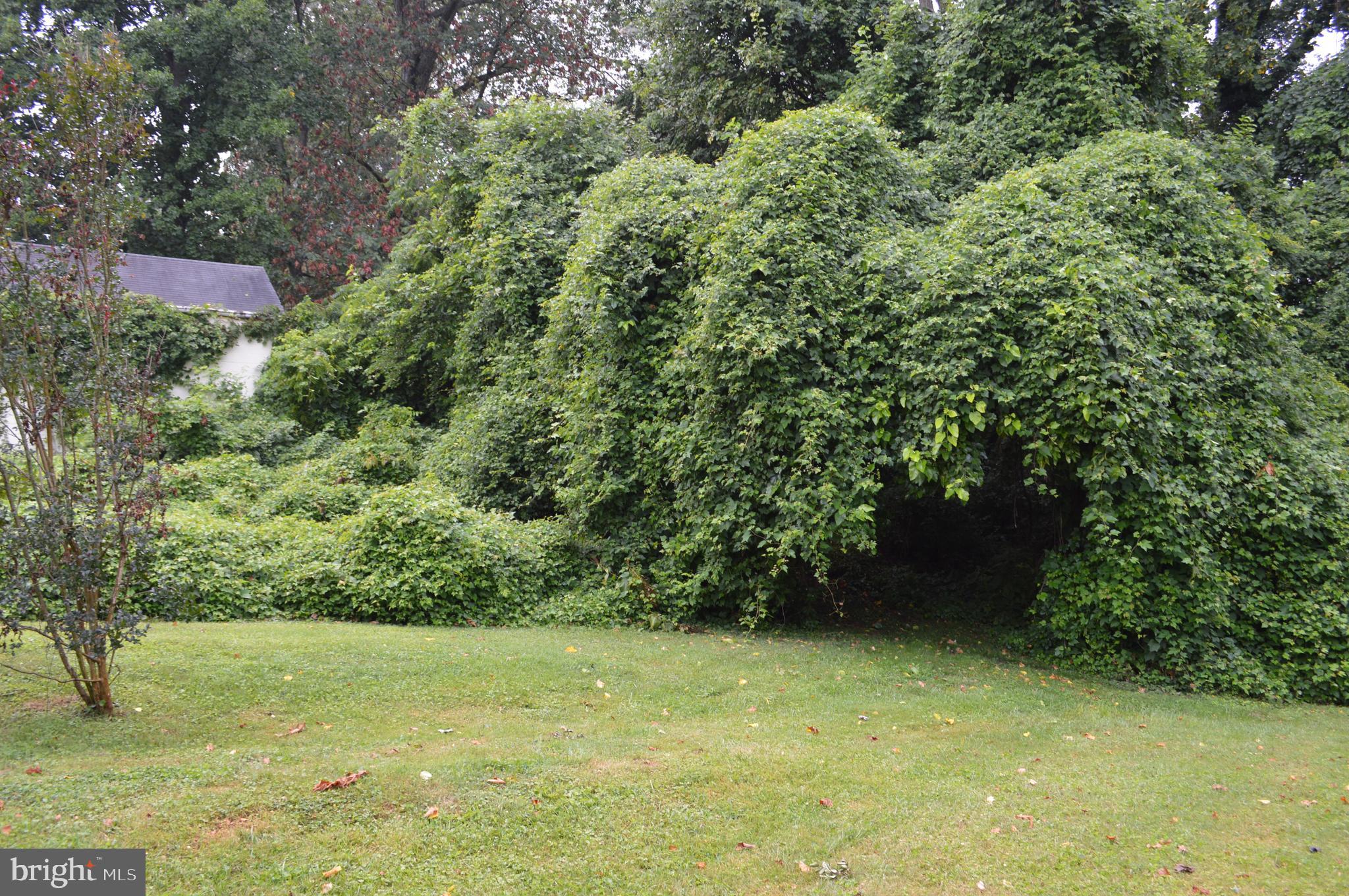 CARNEY - Residential