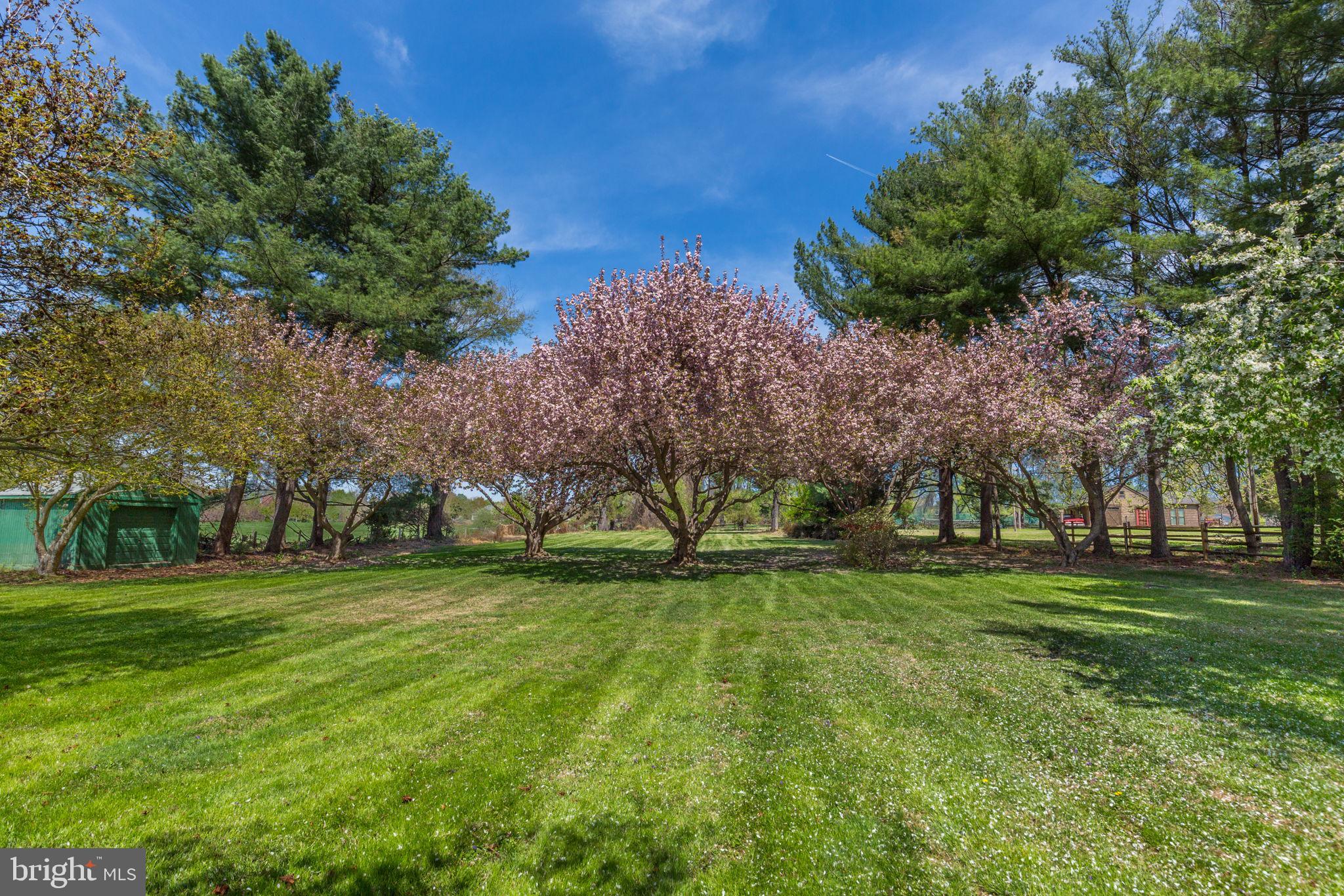 TRAVILAH MEADOWS - Residential