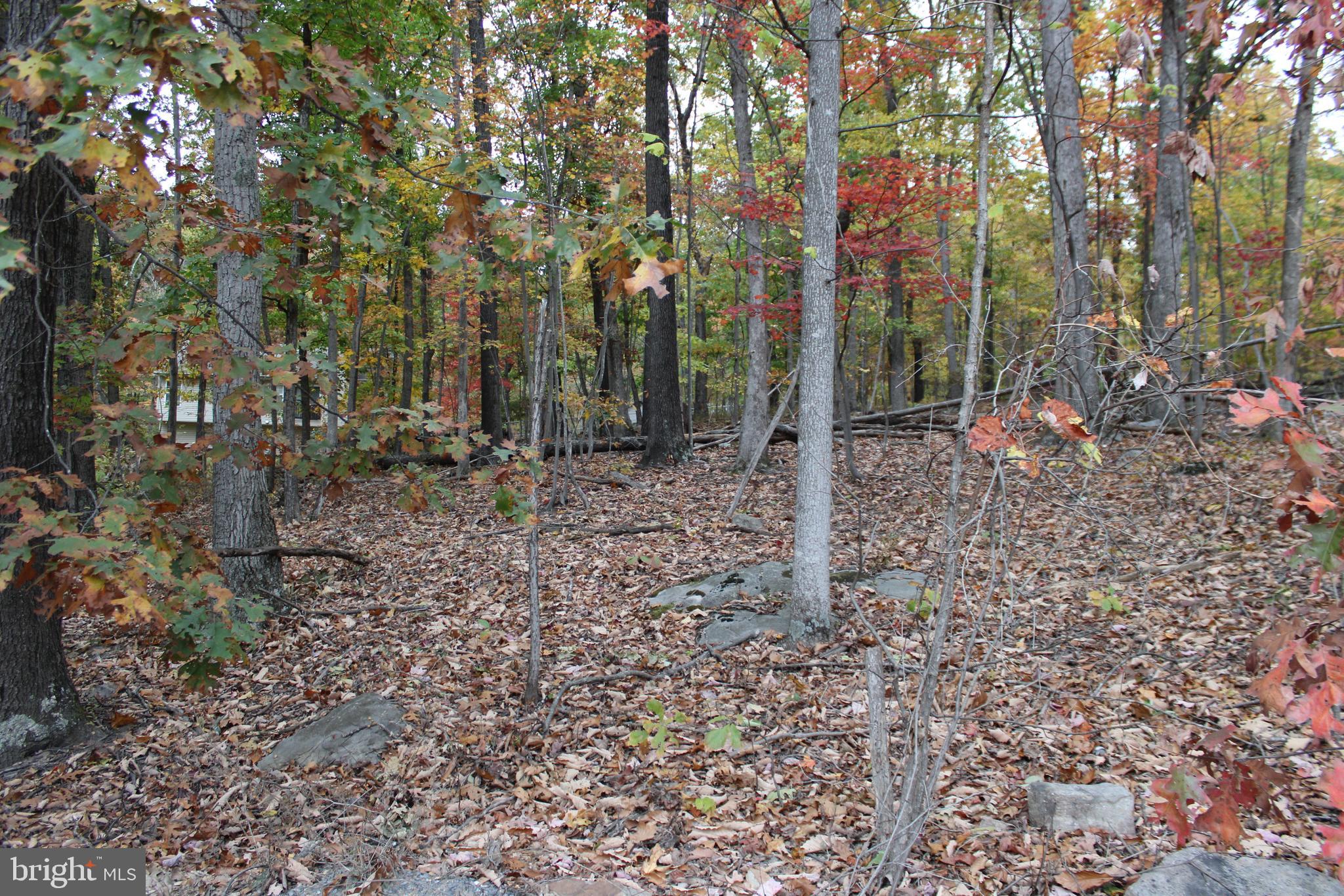 WILDE ACRES - Residential