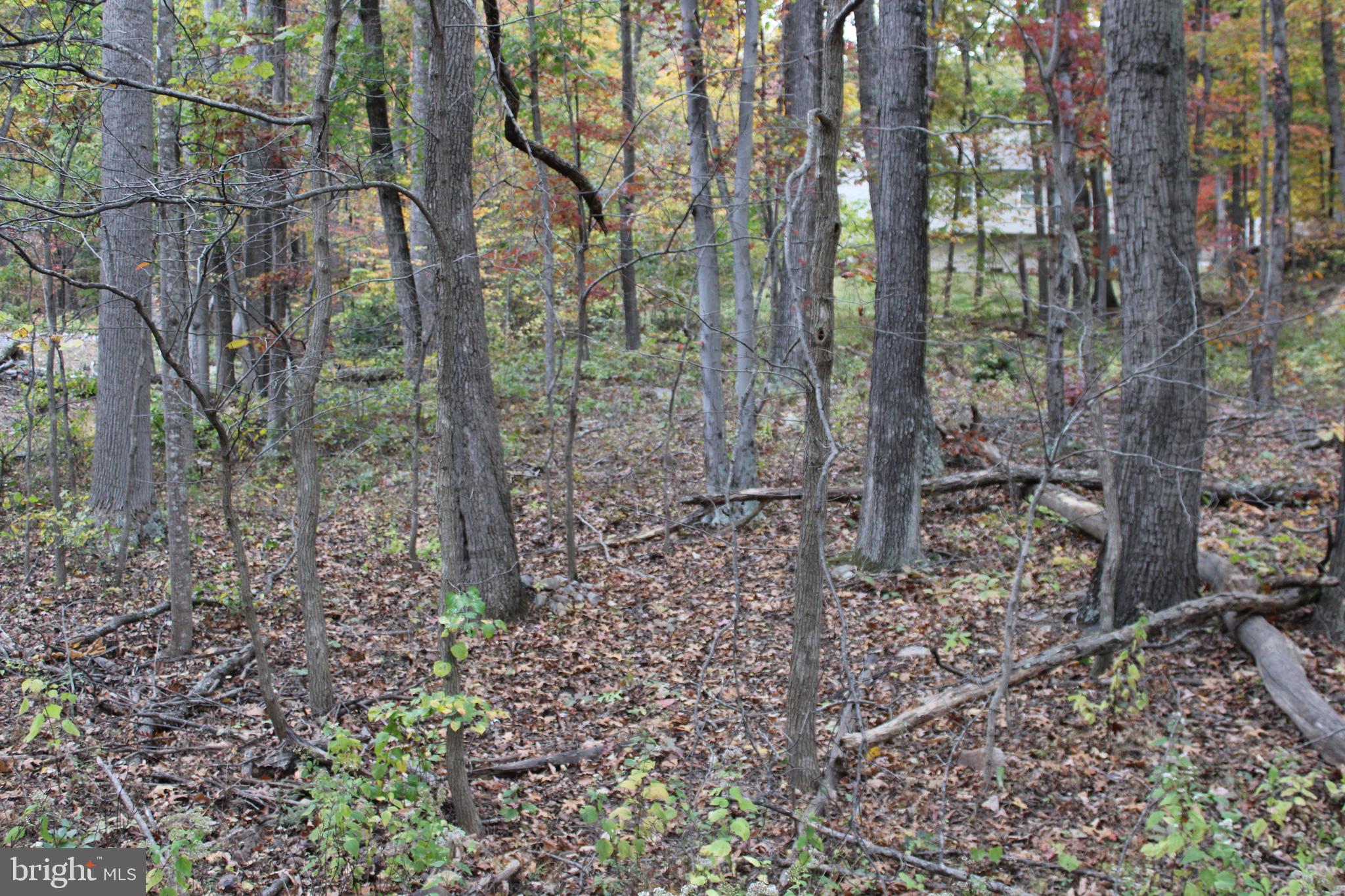 WILDE ACRES - Residential