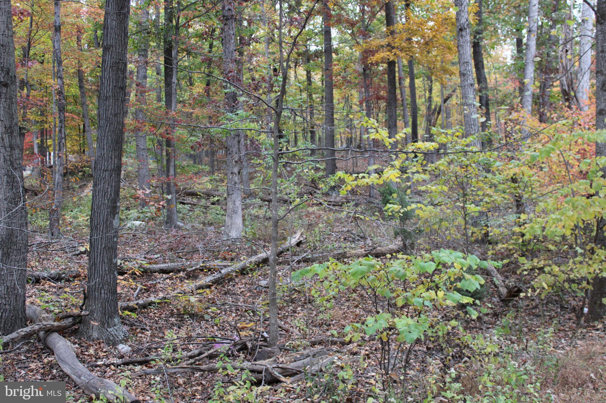 WILDE ACRES - Residential