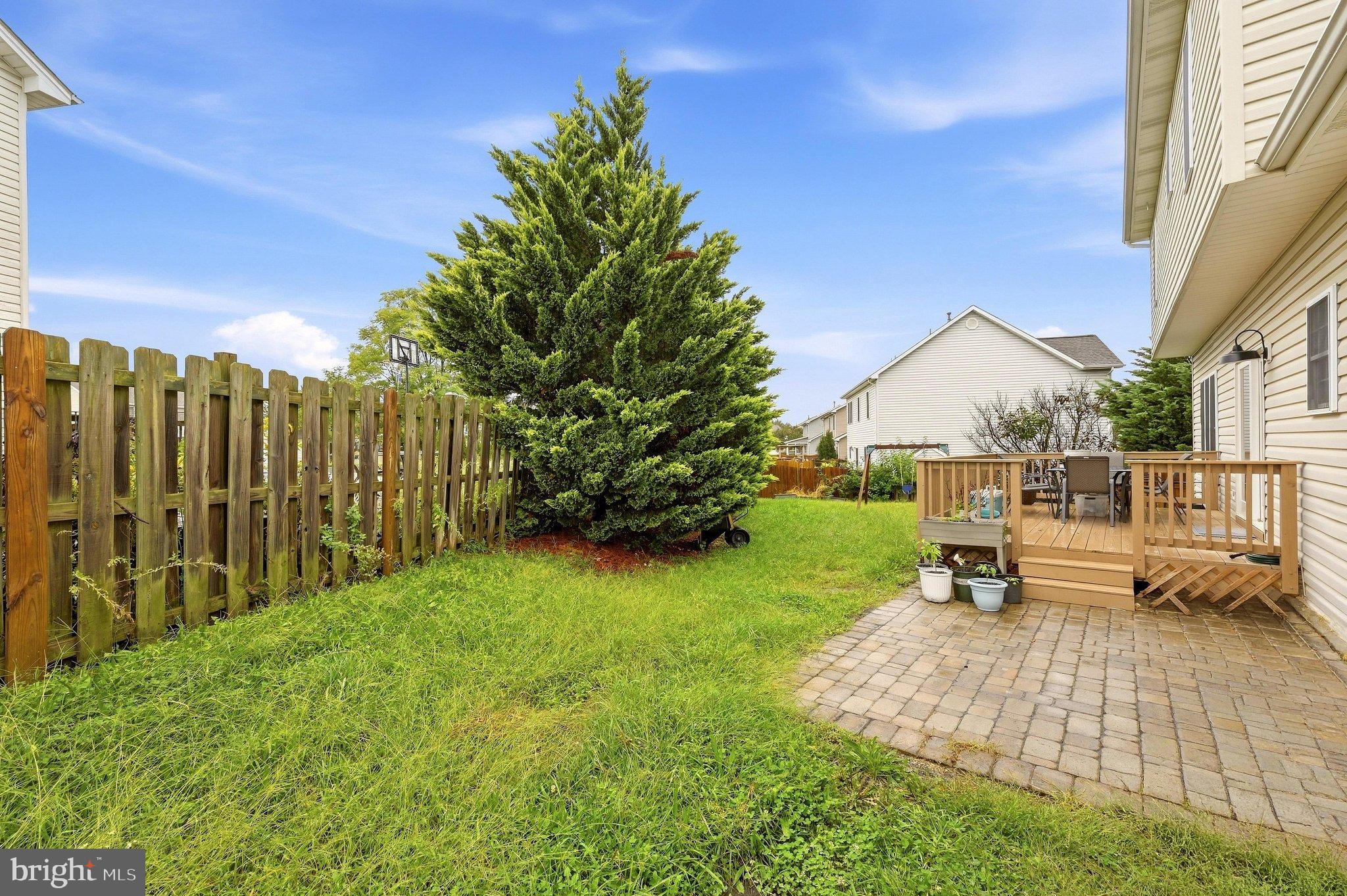 207 CLYDESDALE DRIVE