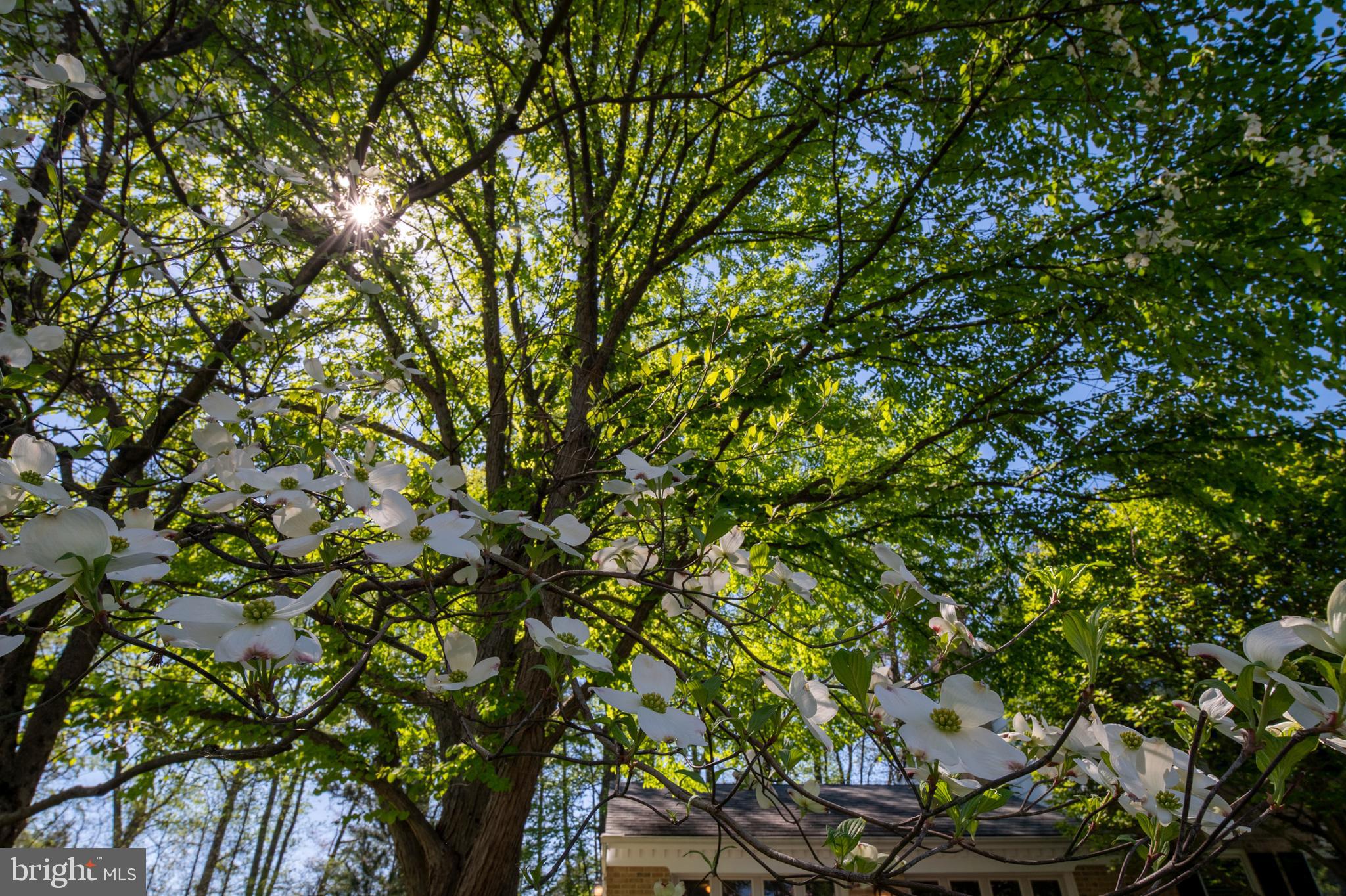 NAPLES MANOR - Residential