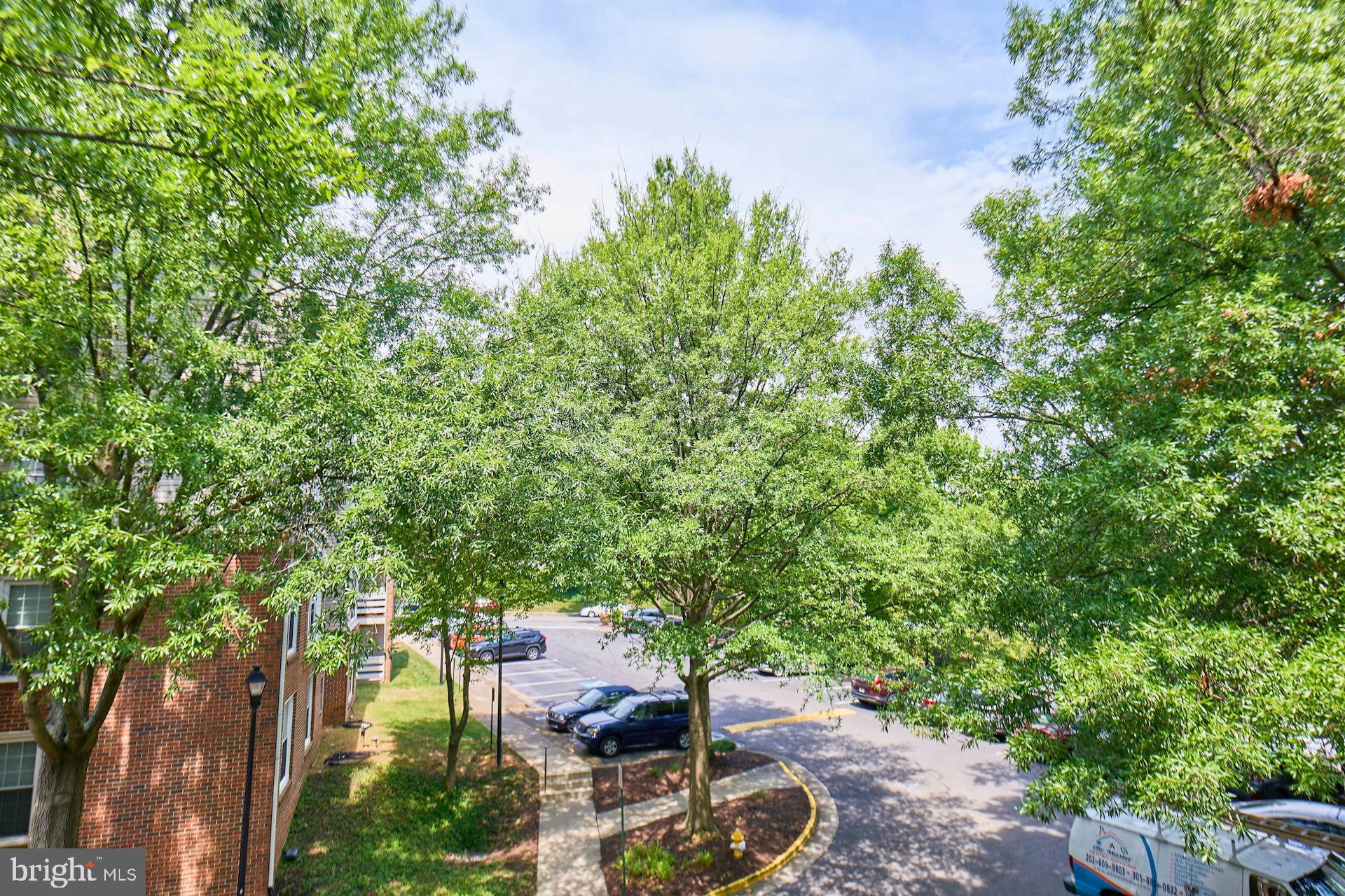 REYNOLDS PROSPECT - Residential