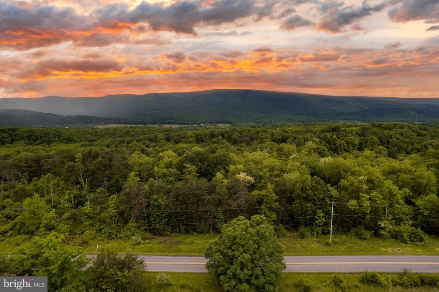 A 5-acre wooded lot, recently subdivided from a larger 14-acre parcel, offers a tranquil retreat amidst towering trees. Property has 3 bedroom perc. Schedule your showing today! **See all info under documents section of this listing