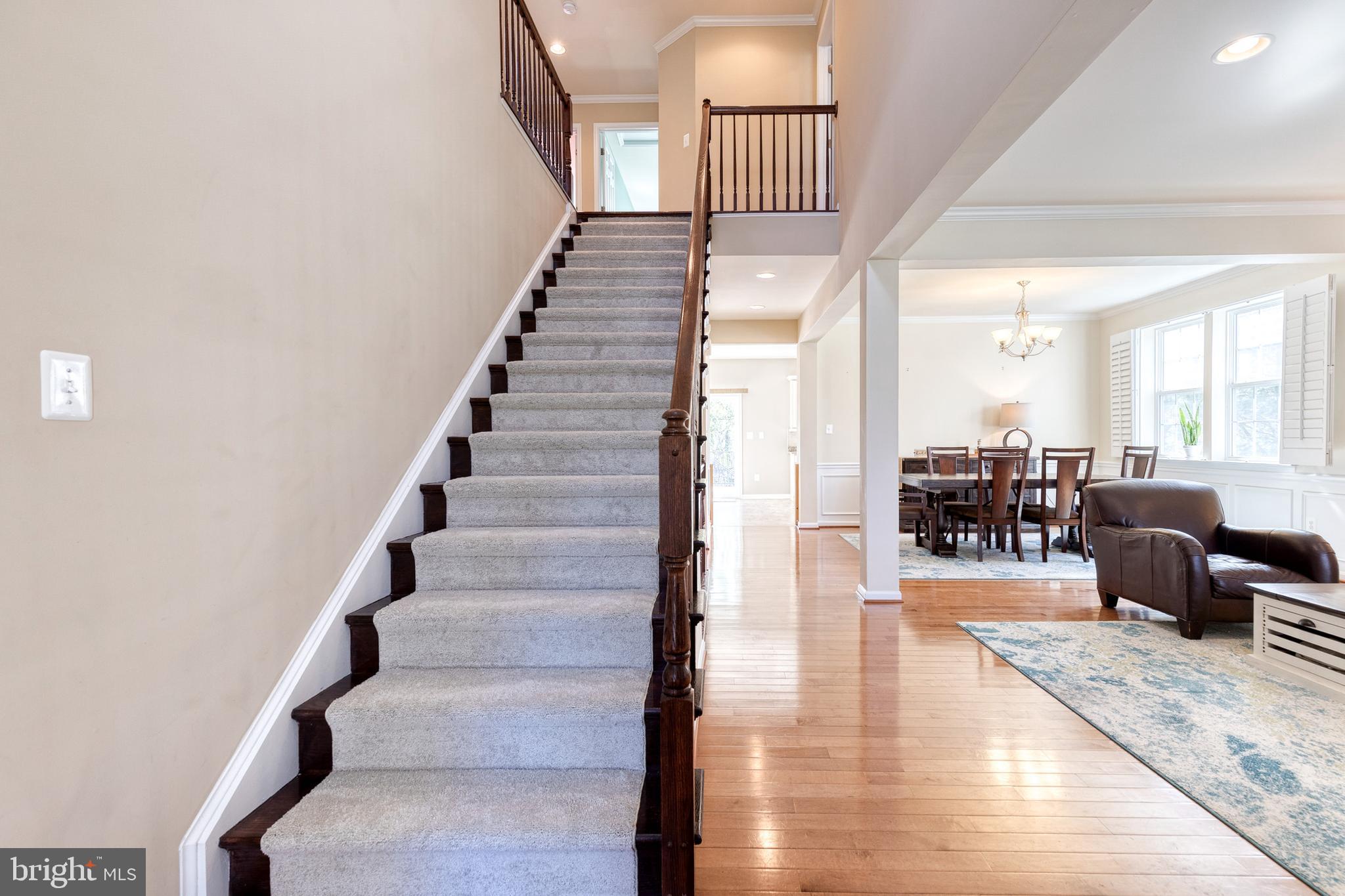 4816 YELLOW OWL COURT