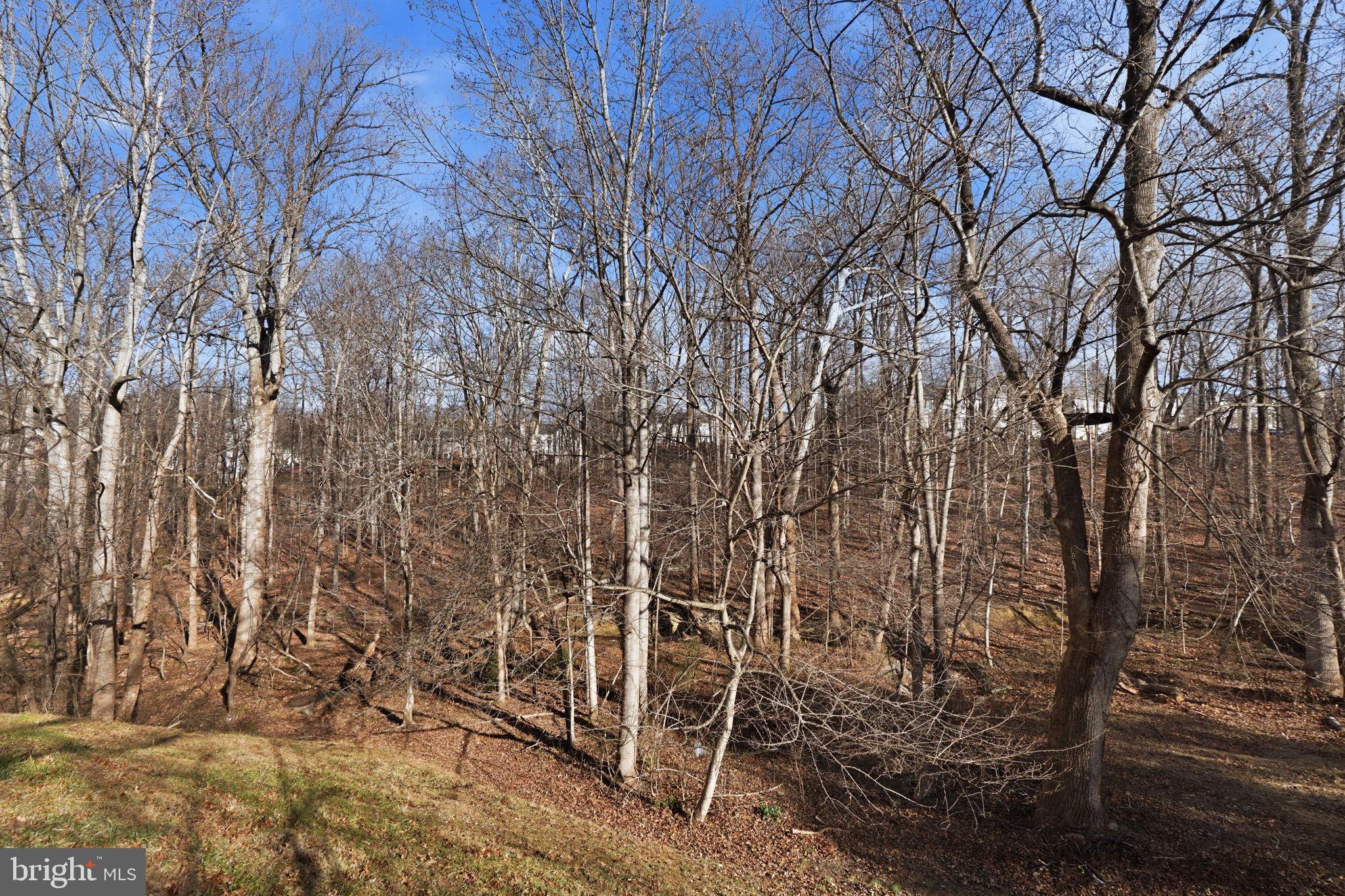 MANCHESTER FARM - Residential