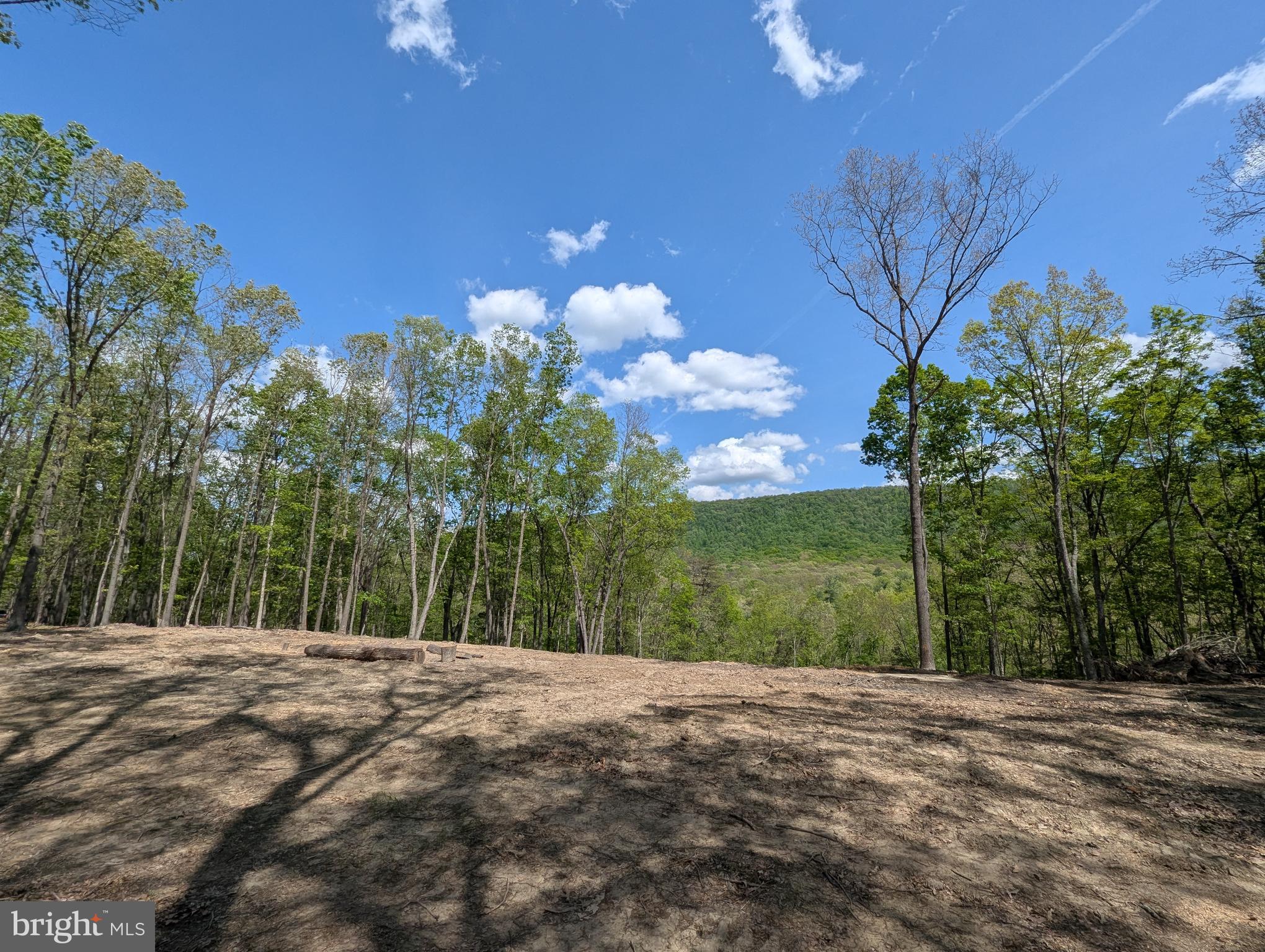 Lot 20 OTTER CREEK DRIVE