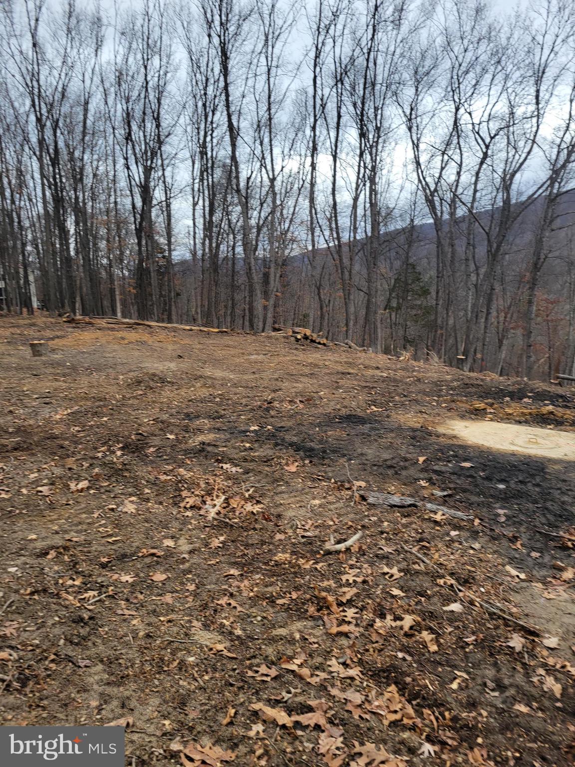 Beautiful 5.28 Acre lot with well and installed septic is ready for your dream home to become a reality. Lovely wooded lot provides a scenic and private retreat. Small stream flows through the back of the property. Seller can build to suit and has plans available.