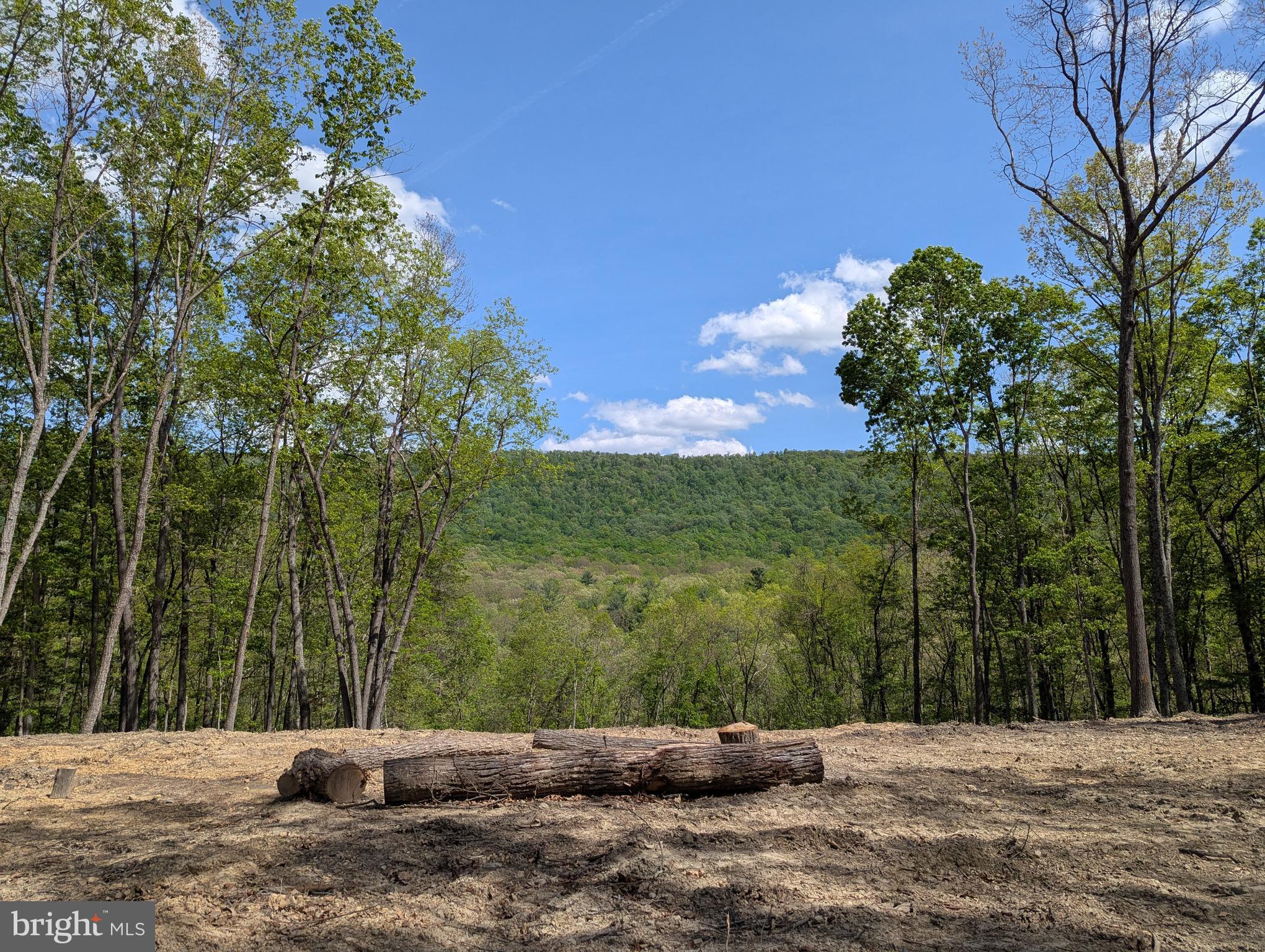 Beautiful 5.28 Acre lot with well and installed septic is ready for your dream home to become a reality. Lovely wooded lot provides a scenic and private retreat. Home site clearing and drive cut in. Mountain view from cleared, level homesite. Small stream flows through the back of the property. Seller can build to suit and has plans available.