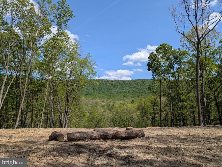 Beautiful 5.28 Acre lot with well and installed septic is ready for your dream home to become a reality.  Lovely wooded lot provides a scenic and private retreat.  Home site clearing and drive cut in.  Mountain view from cleared, level homesite.  Small stream flows through the back of the property. Seller can build to suit and has plans available.