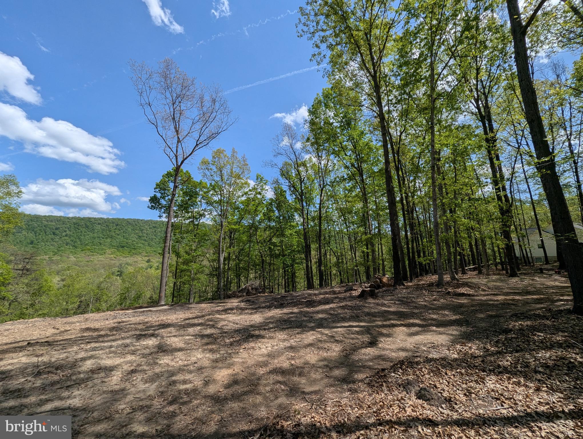 Lot 20 OTTER CREEK DRIVE