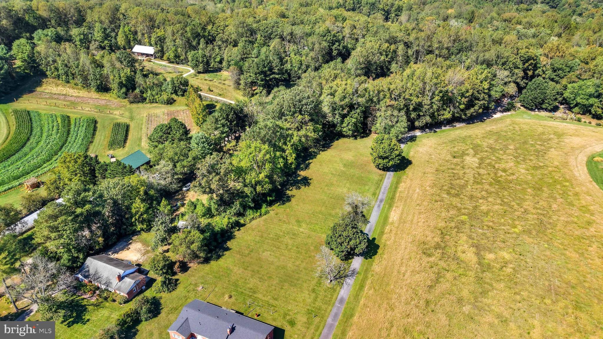 18106 B CENTRAL AVENUE