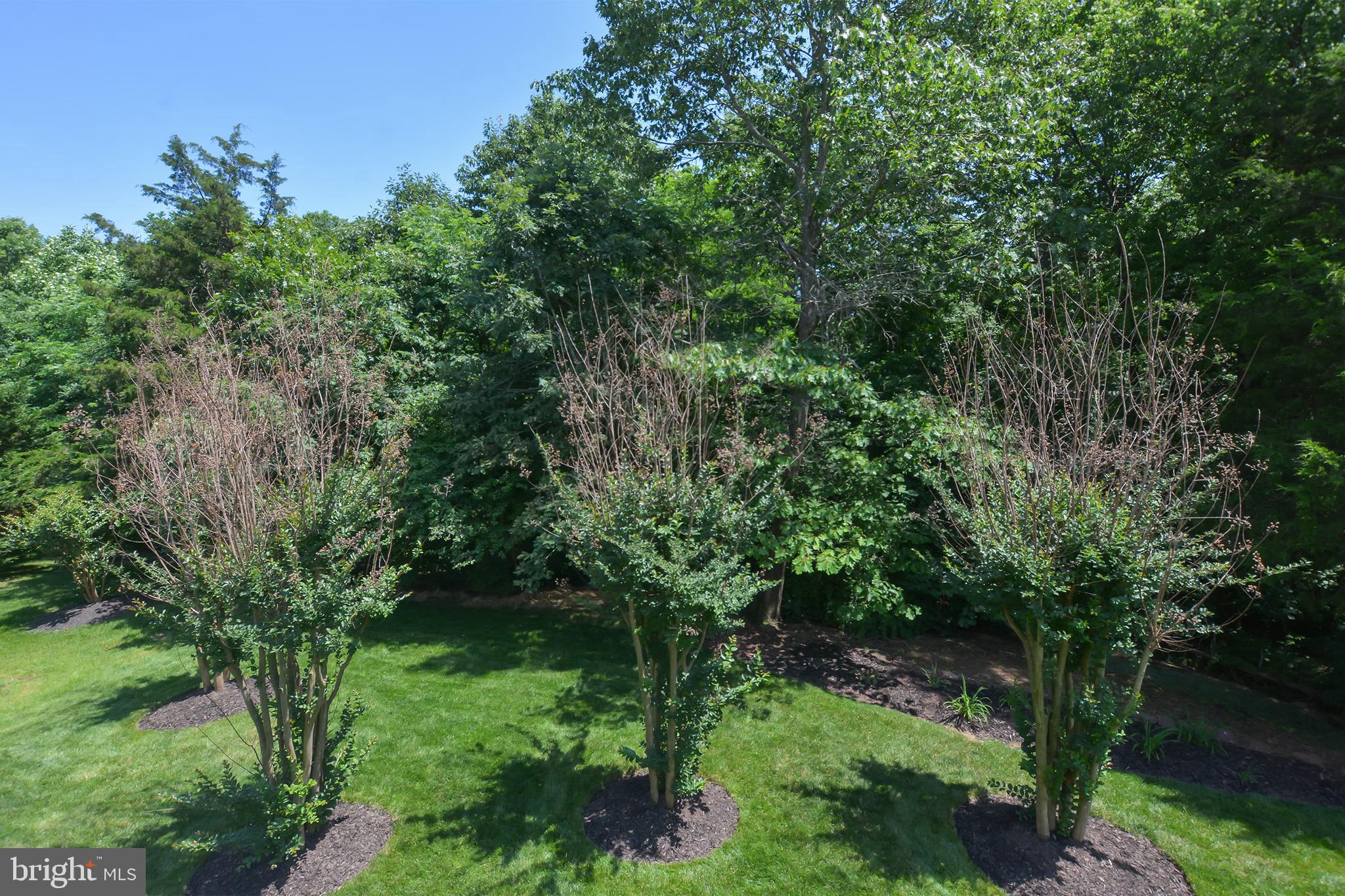 PIEDMONT - Residential