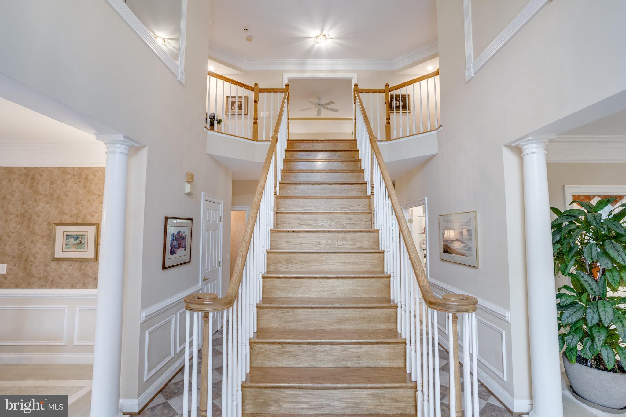 OLLEY LANE - Residential