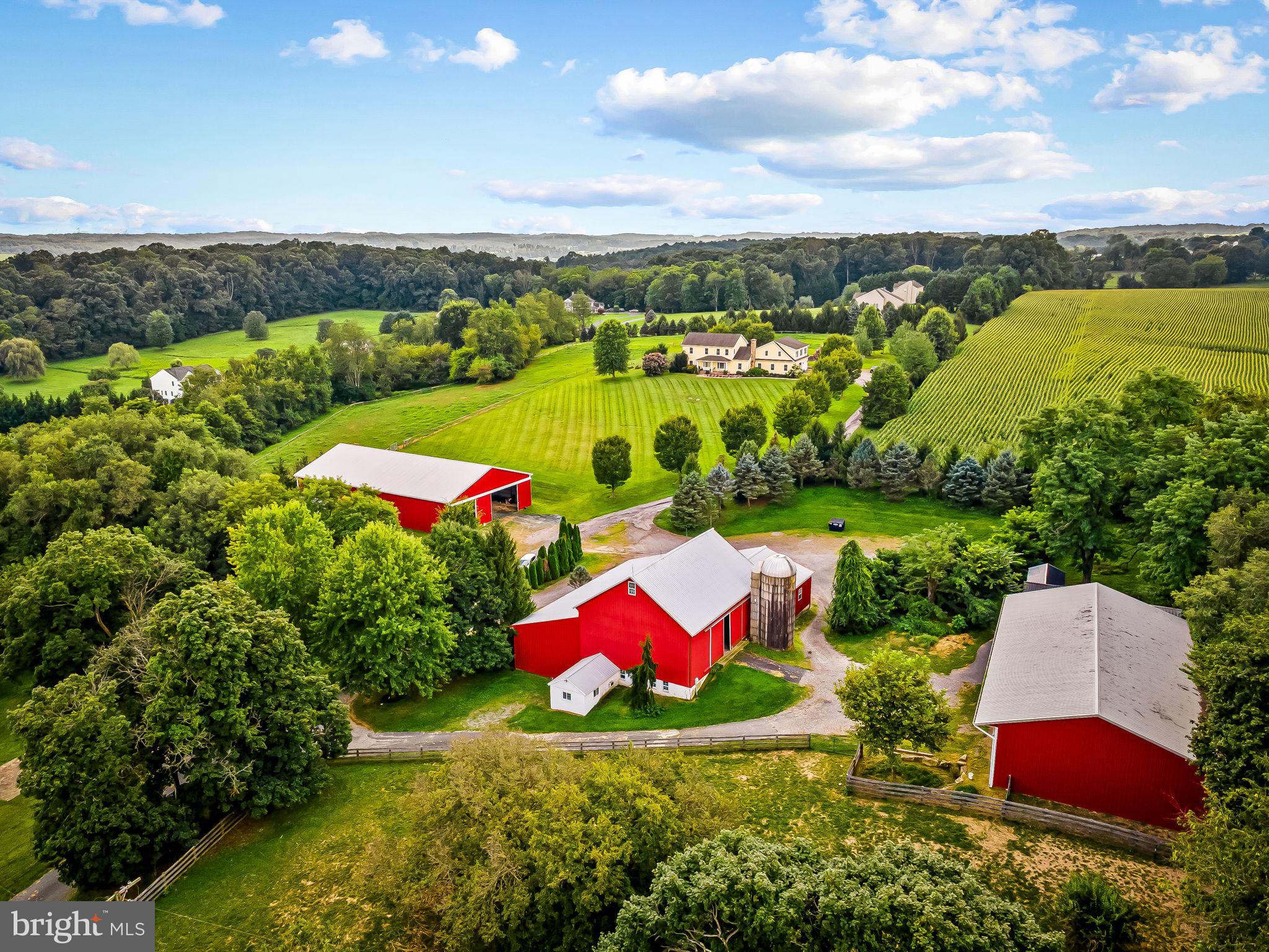 MADONNA MEADOWS - Farm