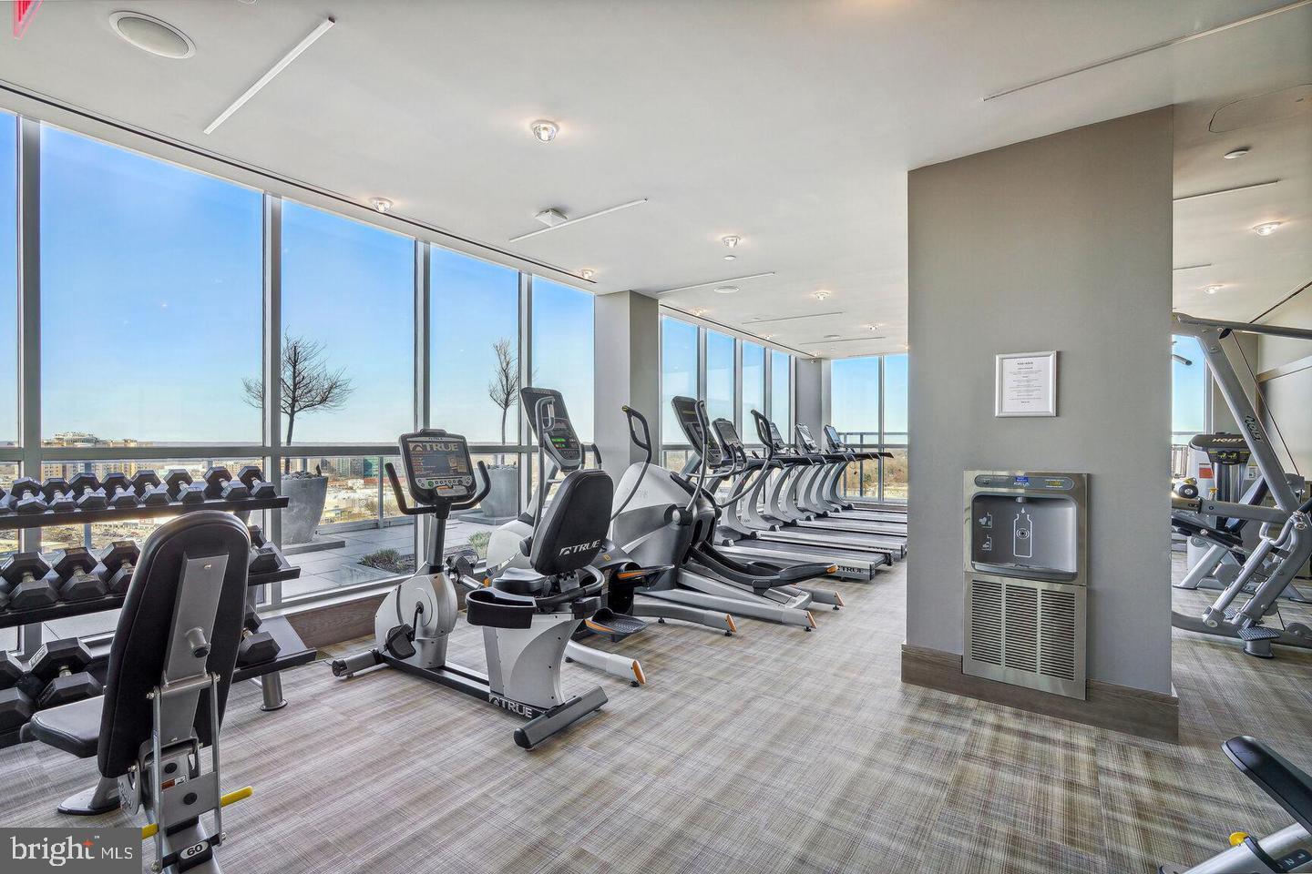 PIKE AND ROSE - Residential Lease