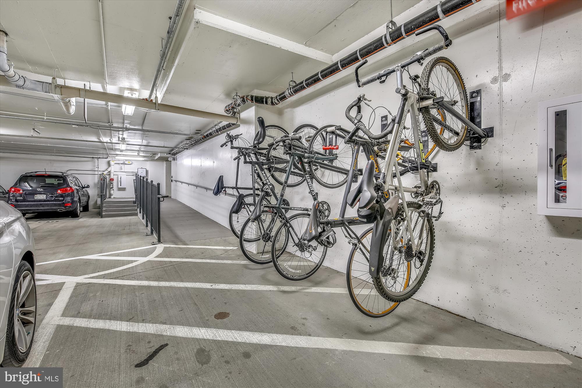 PIKE AND ROSE - Residential Lease