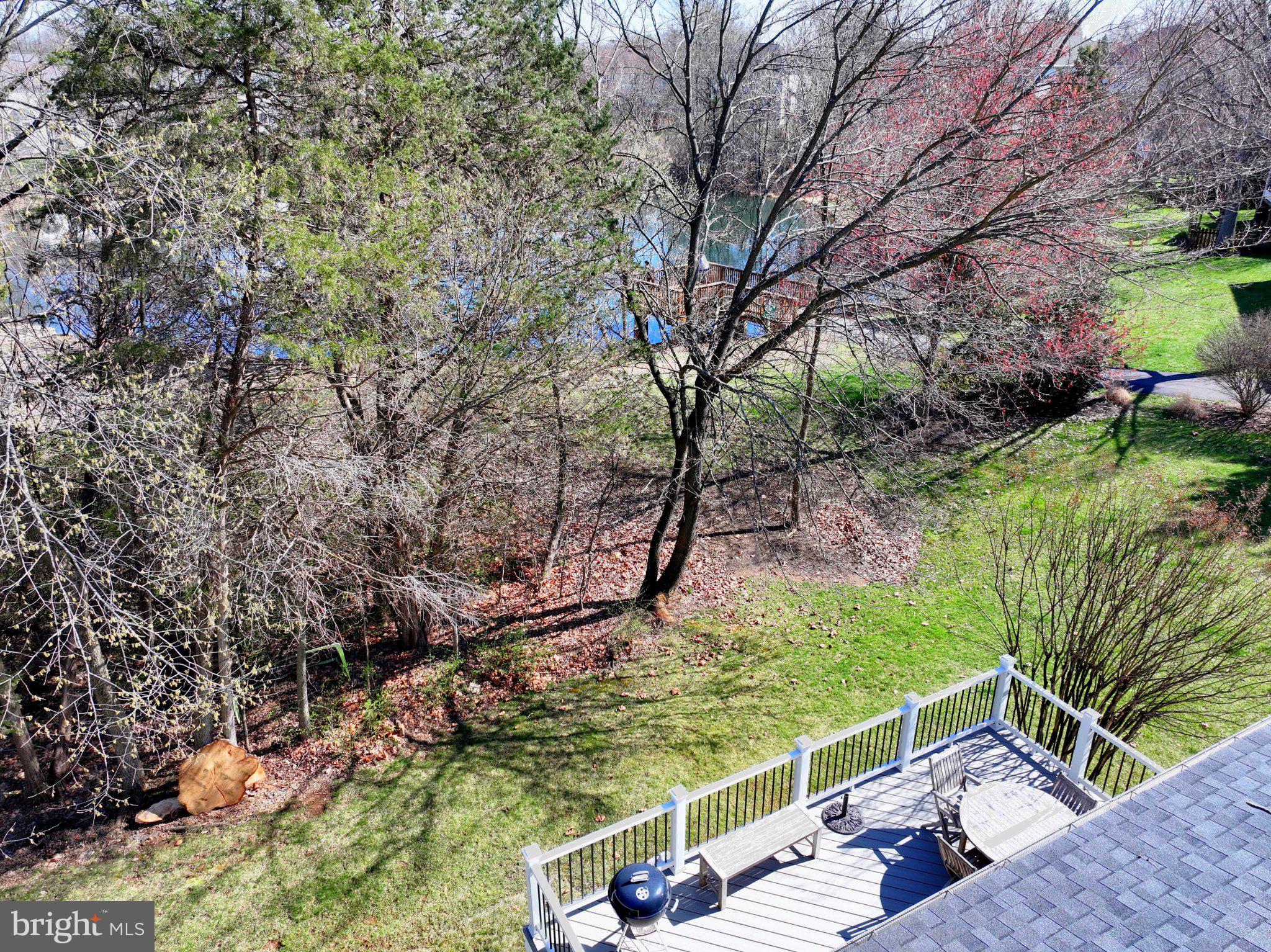 21312 SMALL BRANCH PLACE