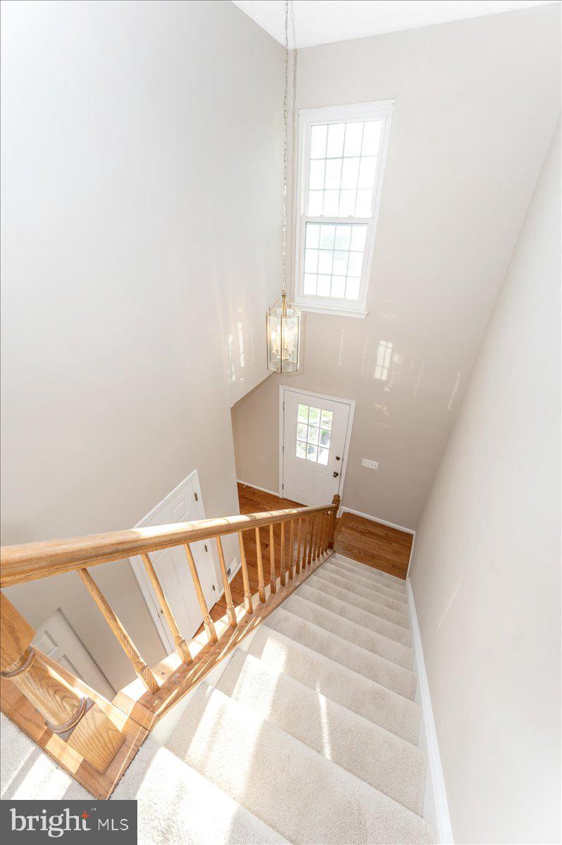 ROBIN MEADOWS - Residential