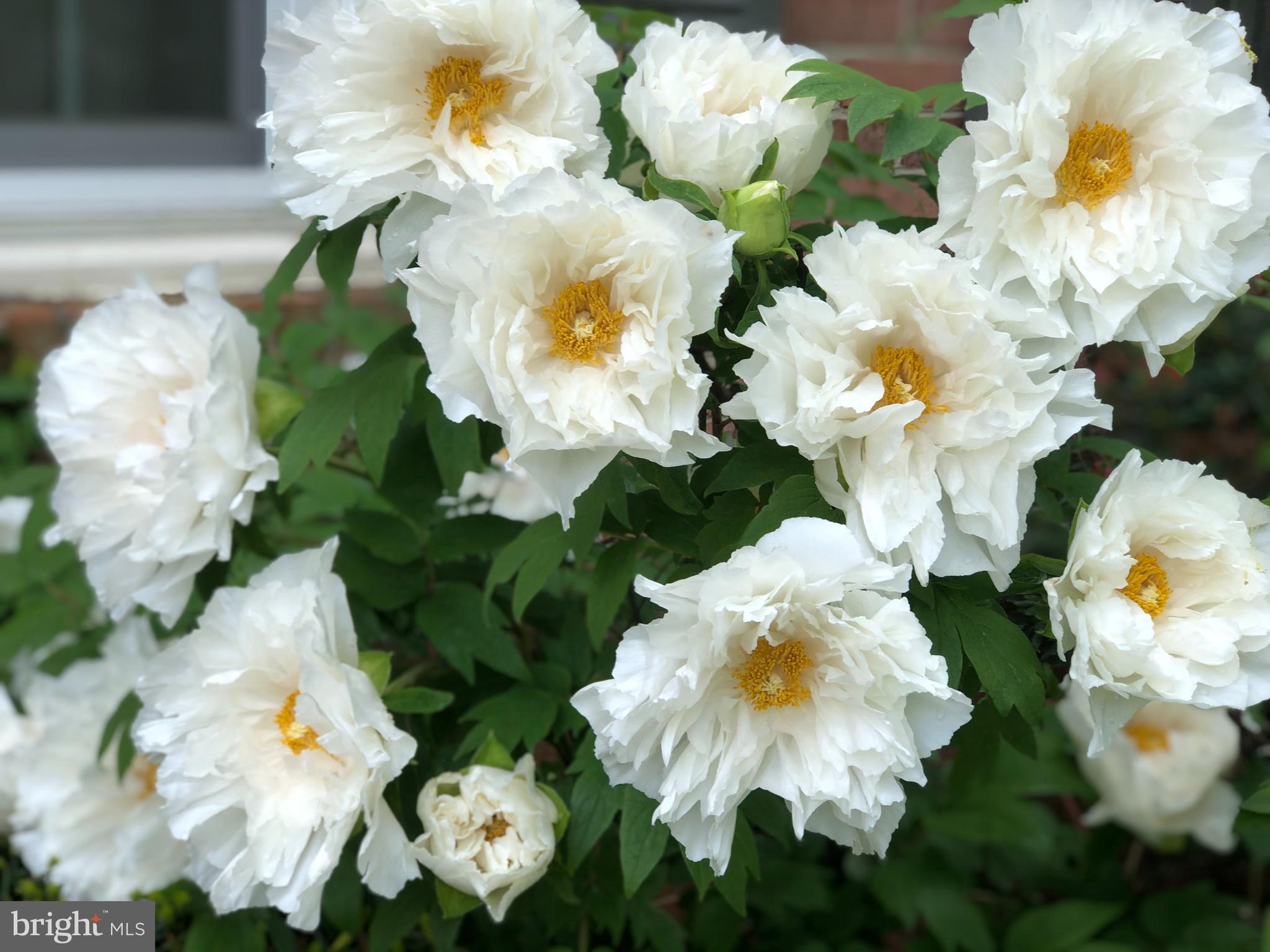 BEDFORDSHIRE - Residential