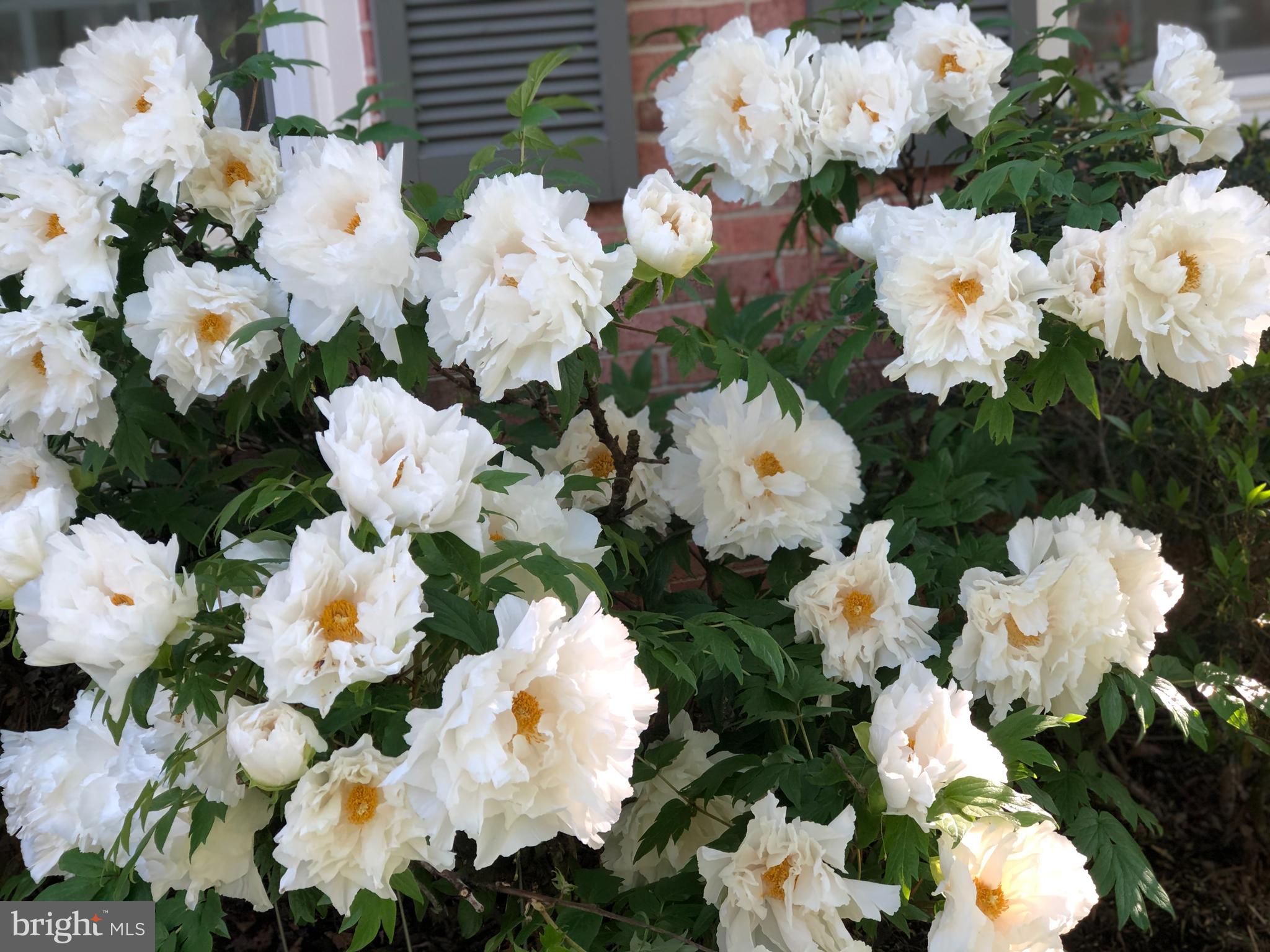 BEDFORDSHIRE - Residential