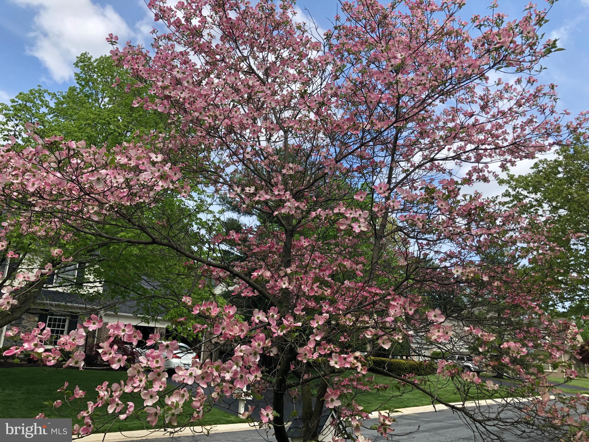 BEDFORDSHIRE - Residential