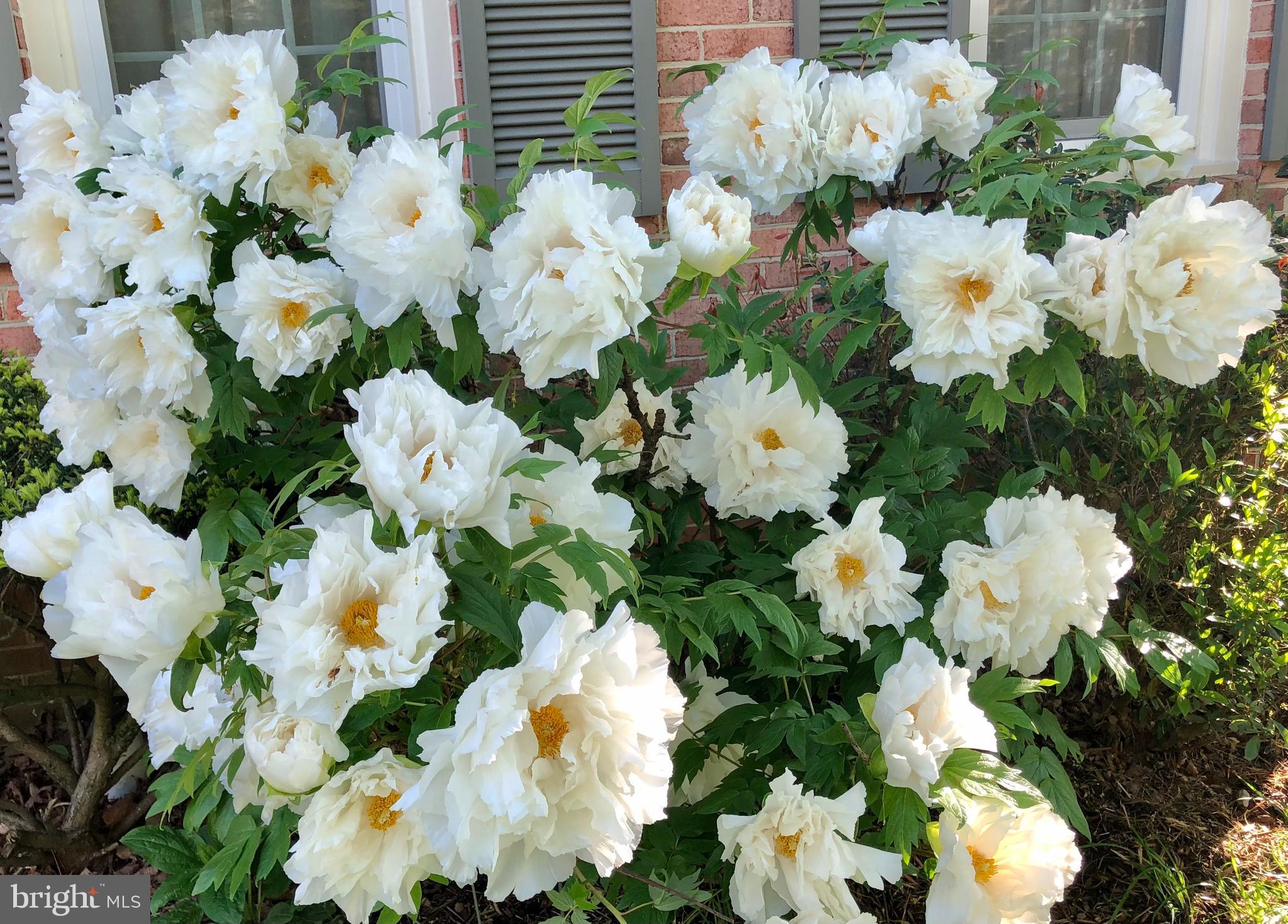 BEDFORDSHIRE - Residential