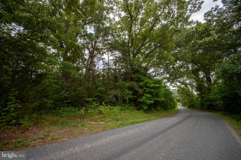Vacant Land For Sale - TBD Old Well Road #LOT 8<br/> PHENIX, VA 23959