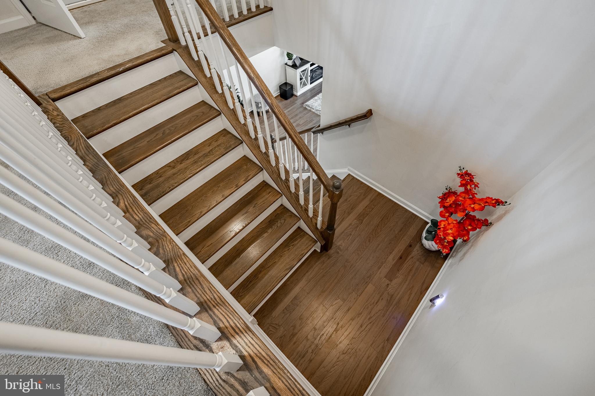 DOWNINGTOWN BORO - Residential