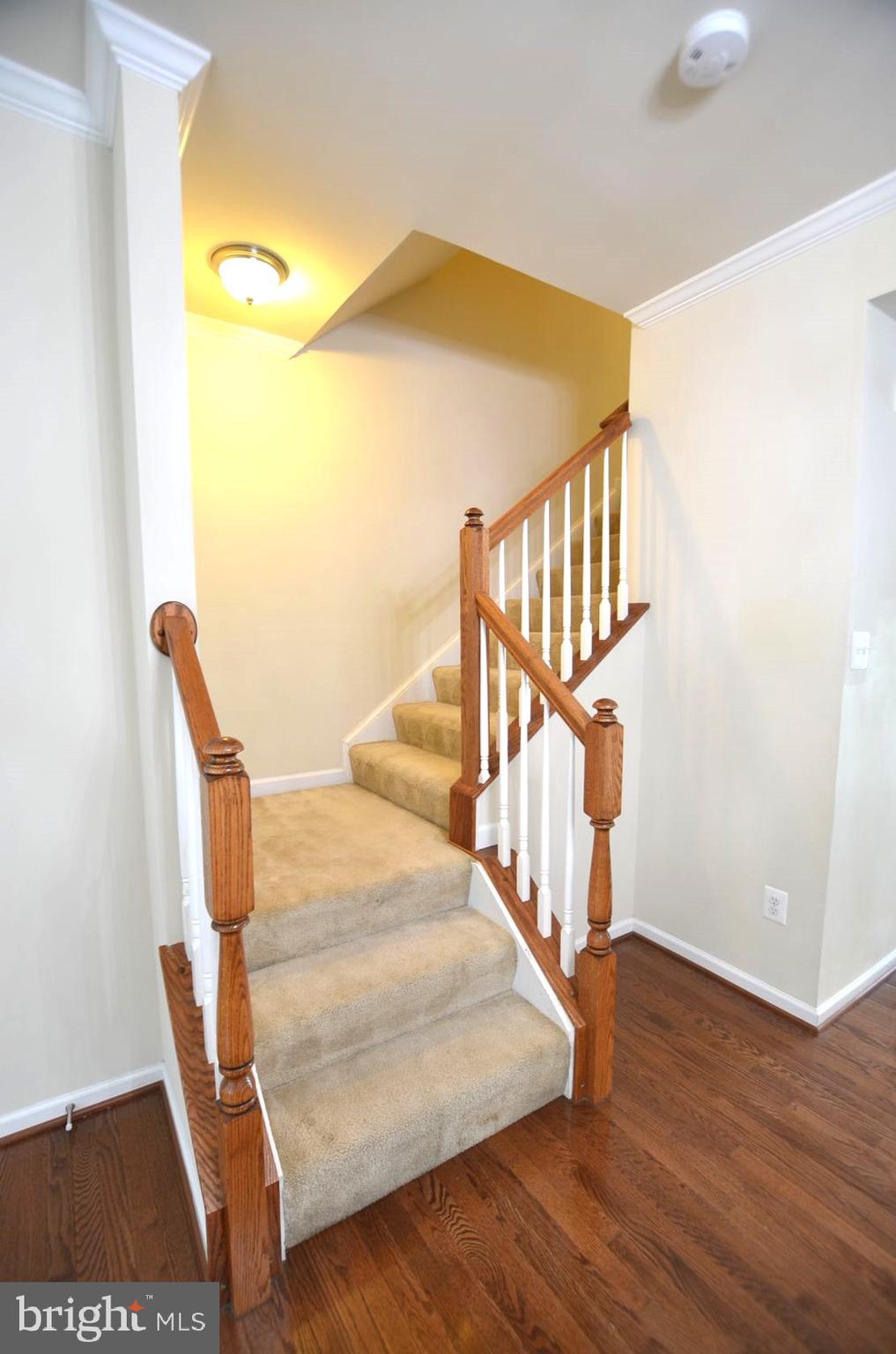 MARKET SQUARE - Residential