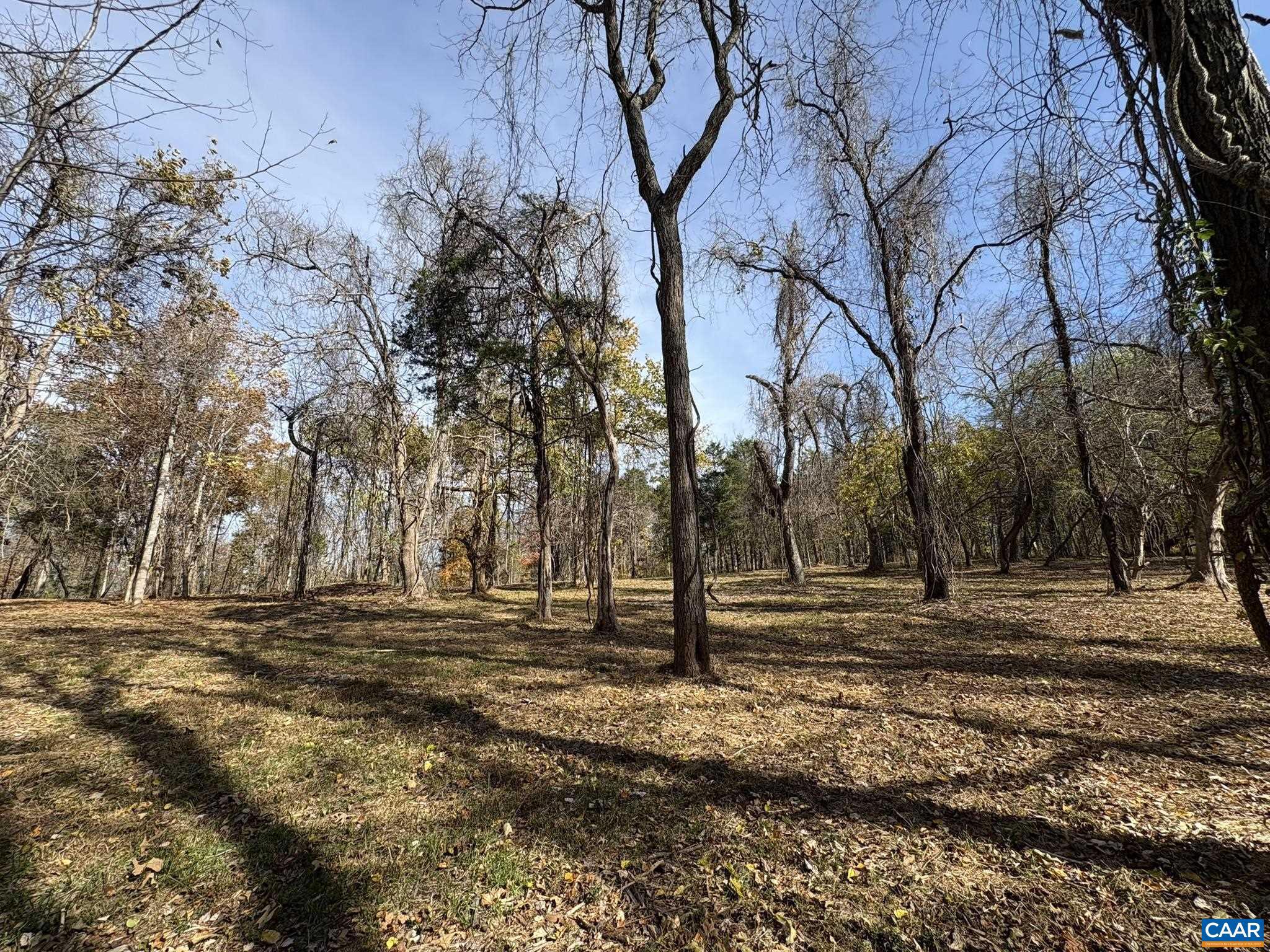 NONE AVAILABLE - Land