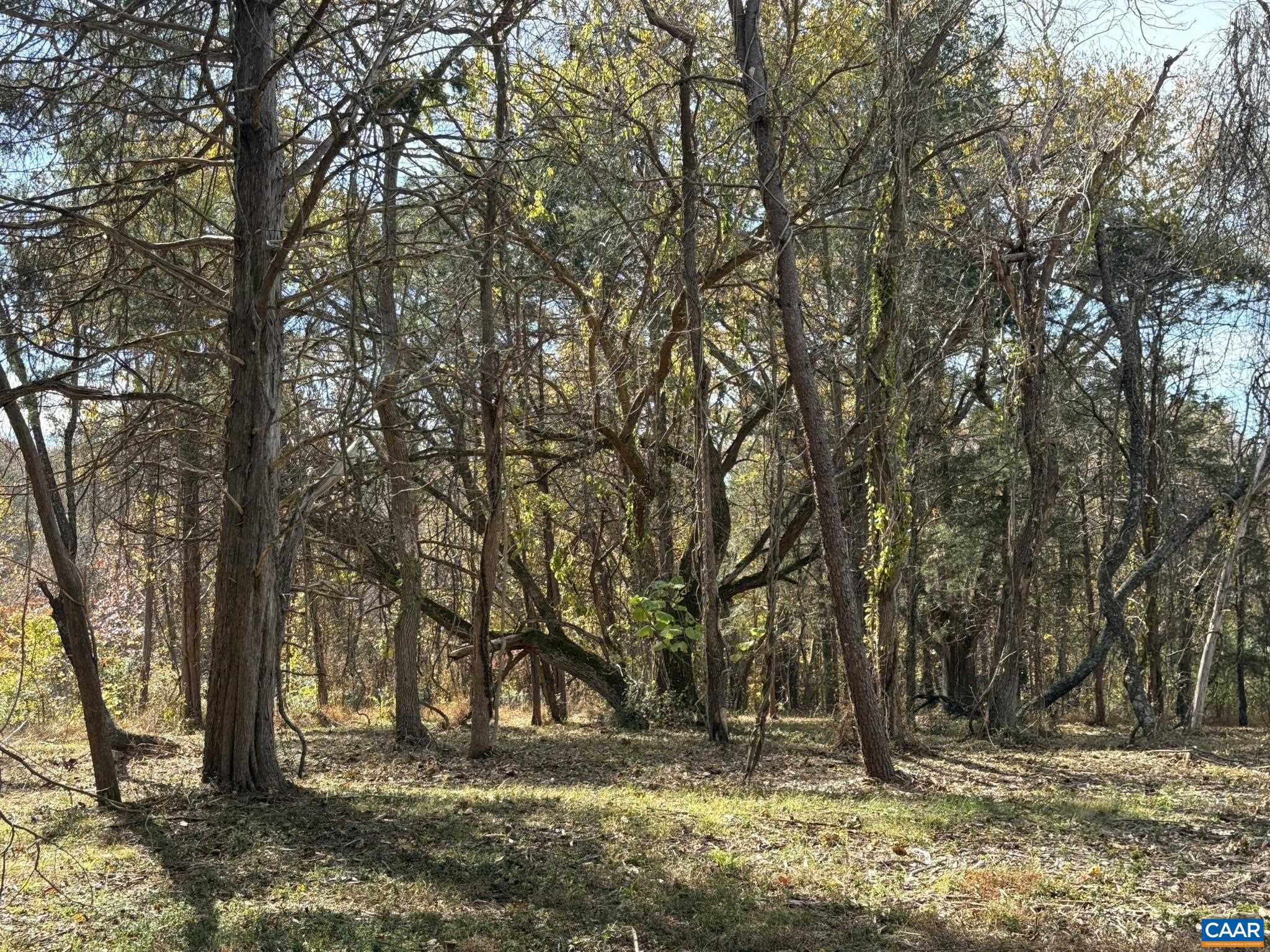 NONE AVAILABLE - Land