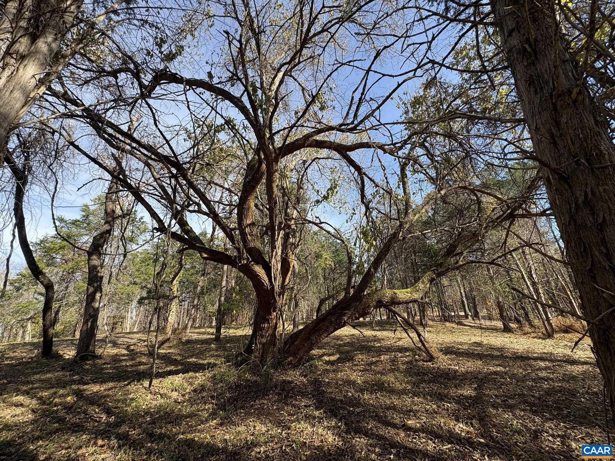 NONE AVAILABLE - Land