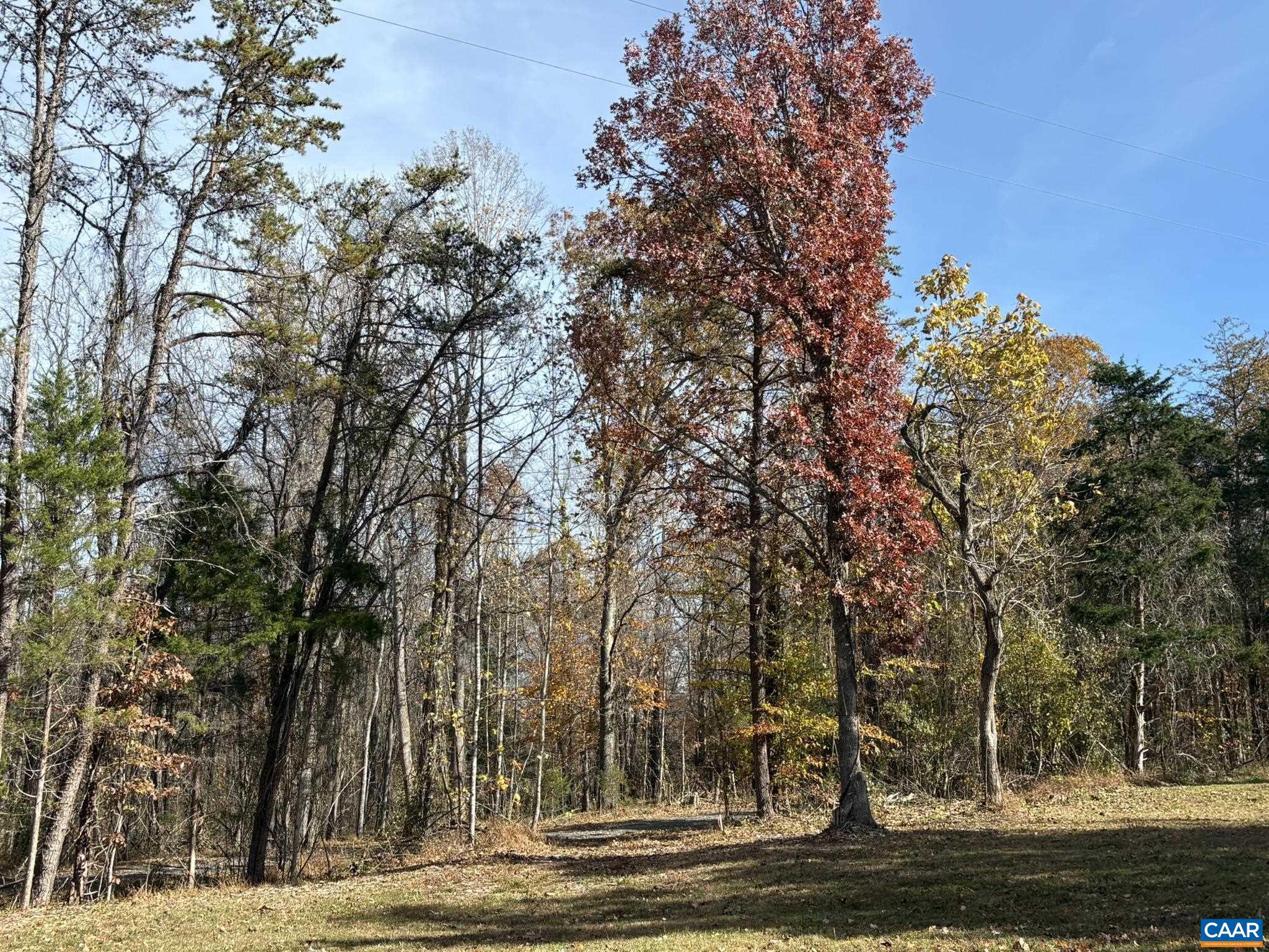 NONE AVAILABLE - Land