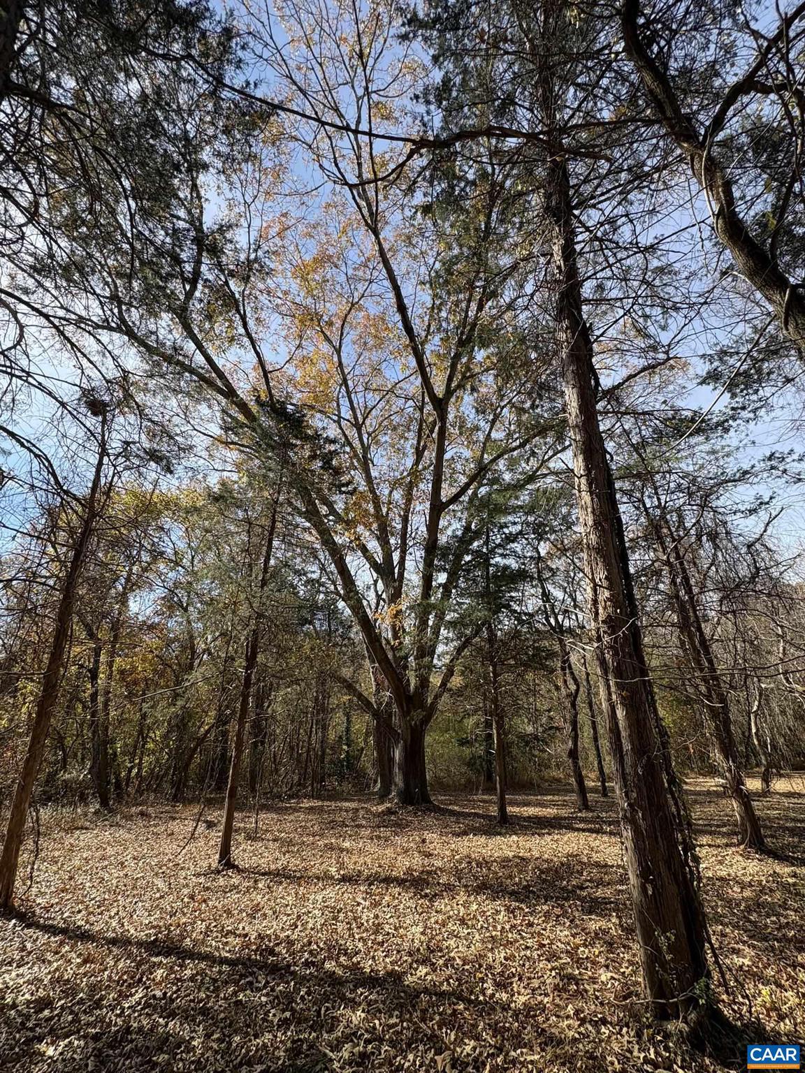 NONE AVAILABLE - Land