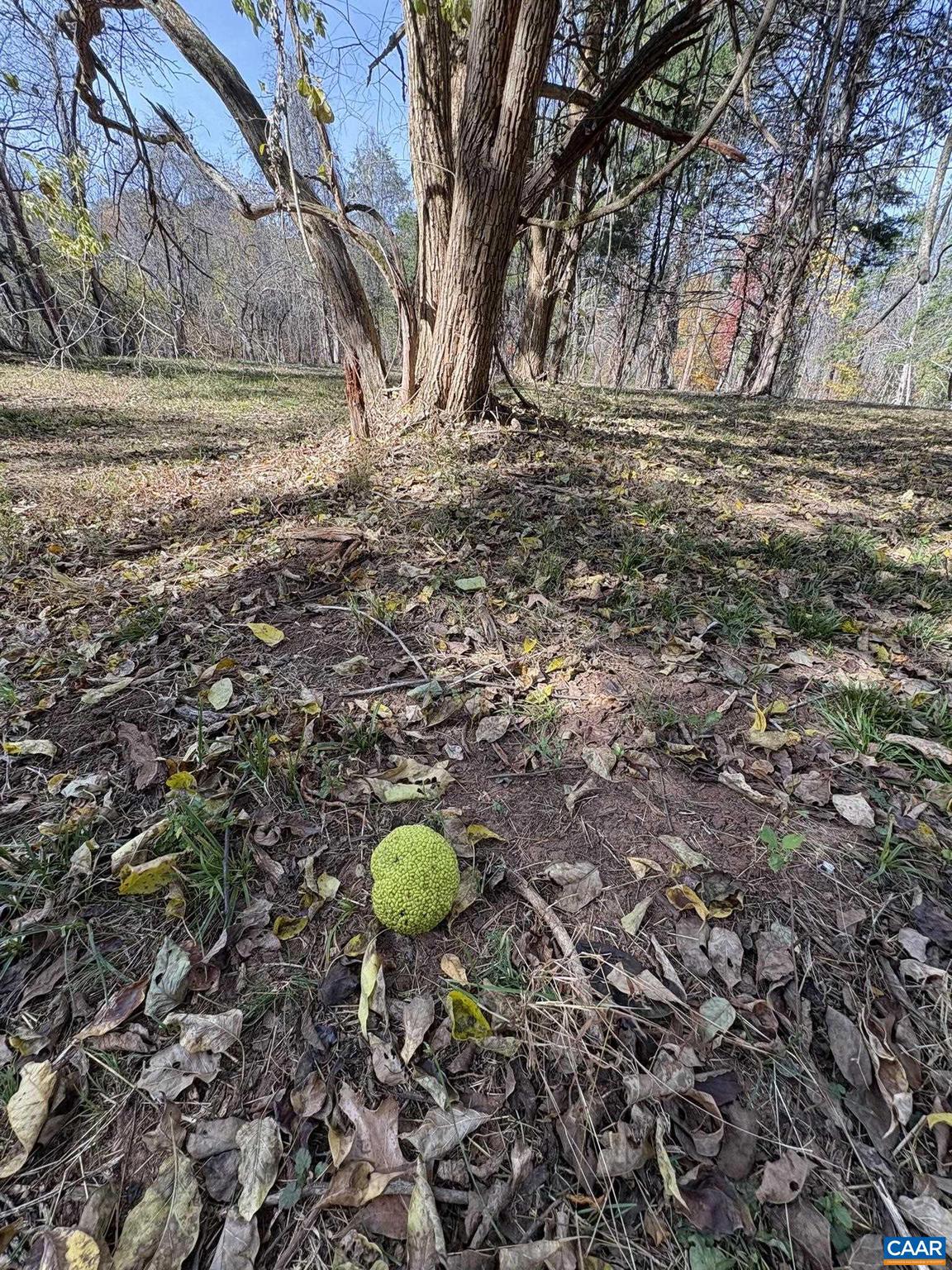 NONE AVAILABLE - Land