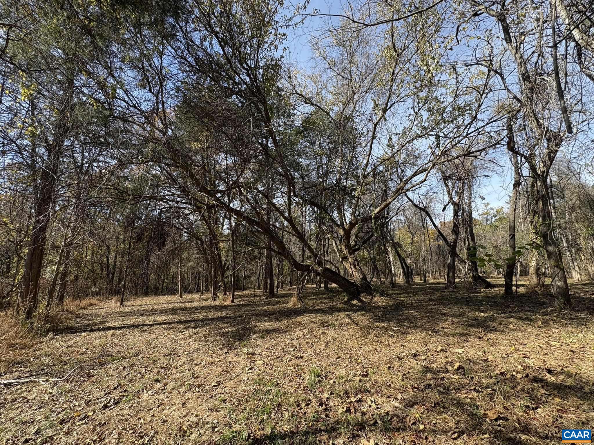 NONE AVAILABLE - Land