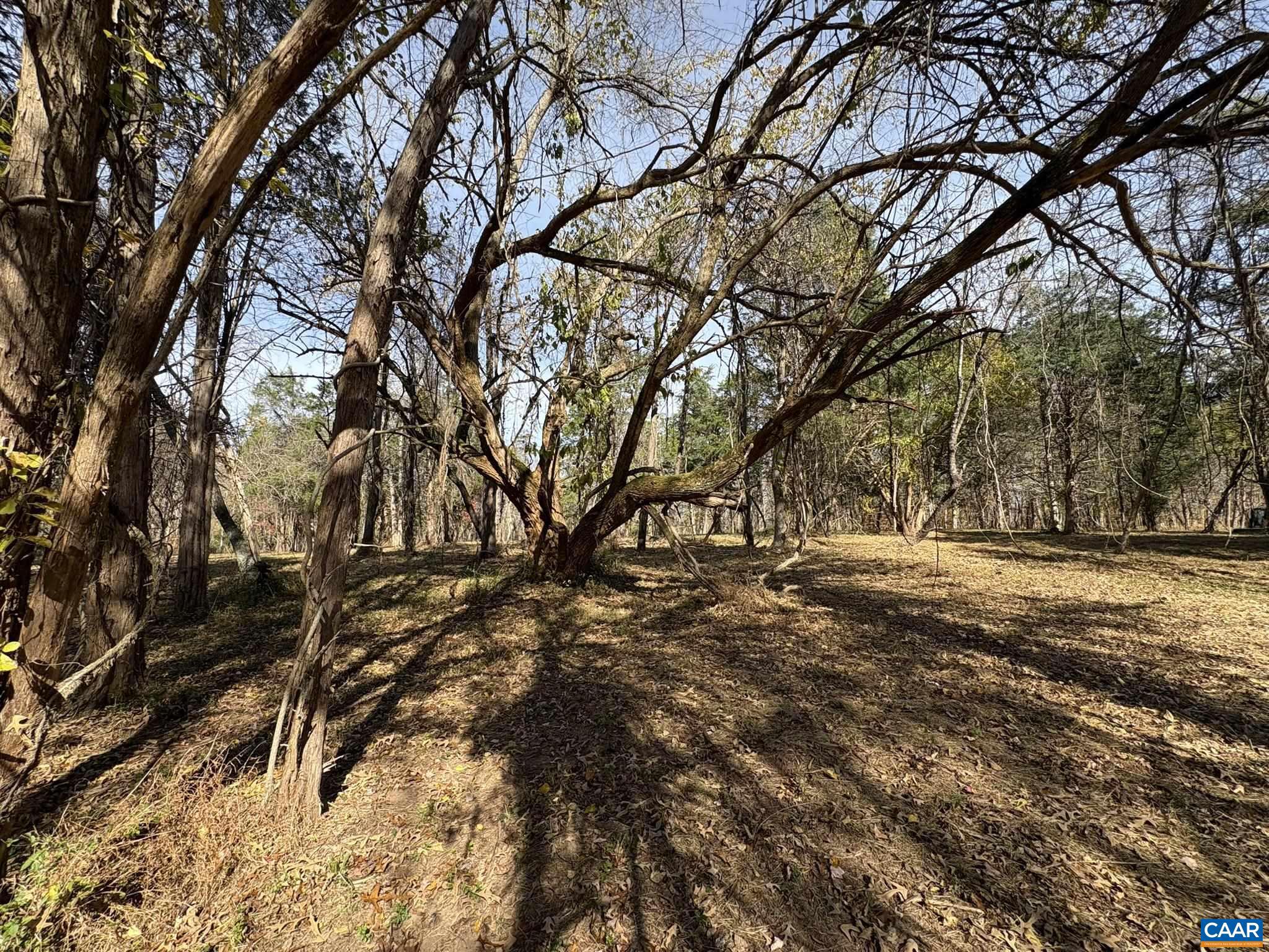 NONE AVAILABLE - Land