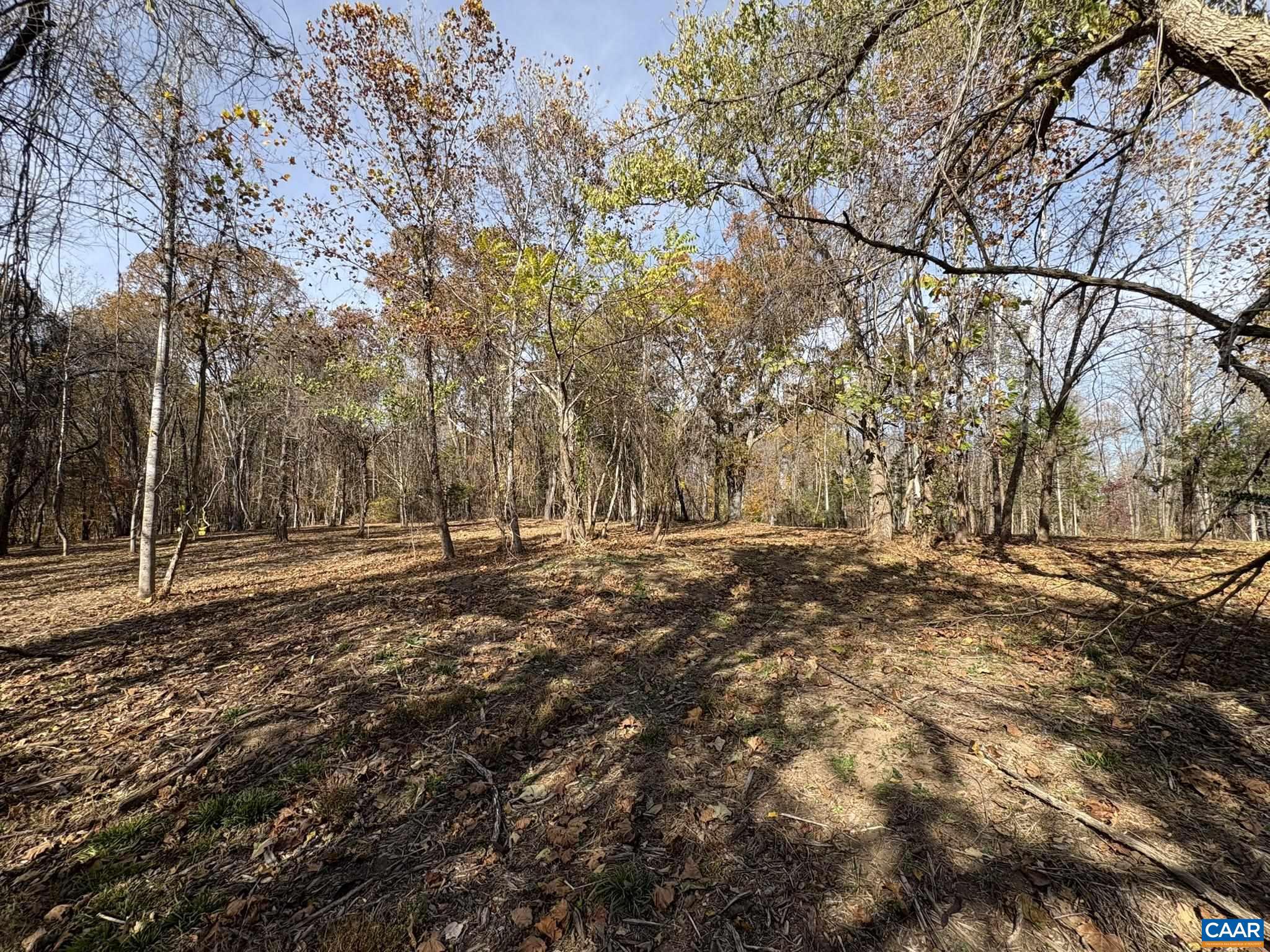 NONE AVAILABLE - Land