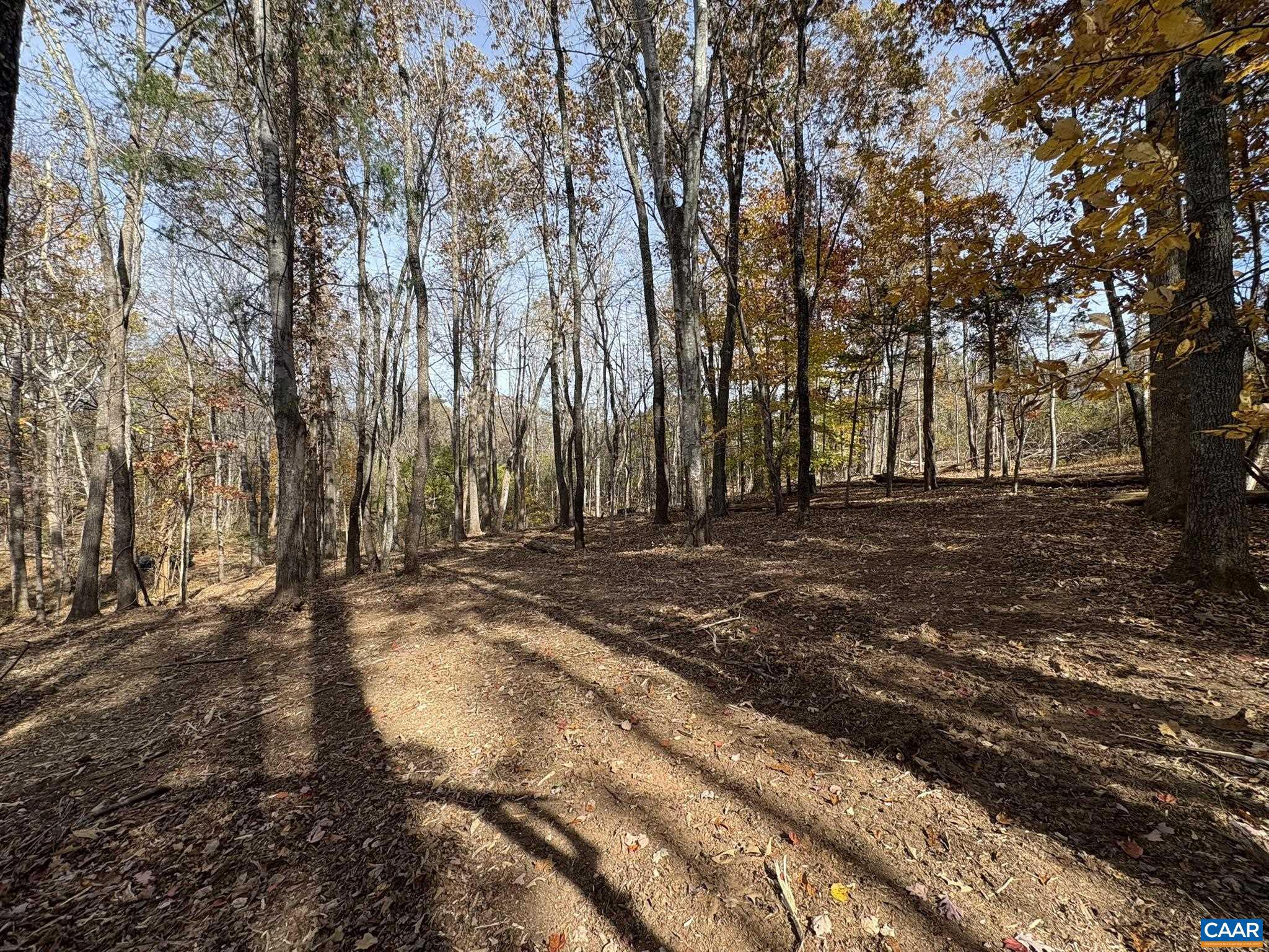 NONE AVAILABLE - Land