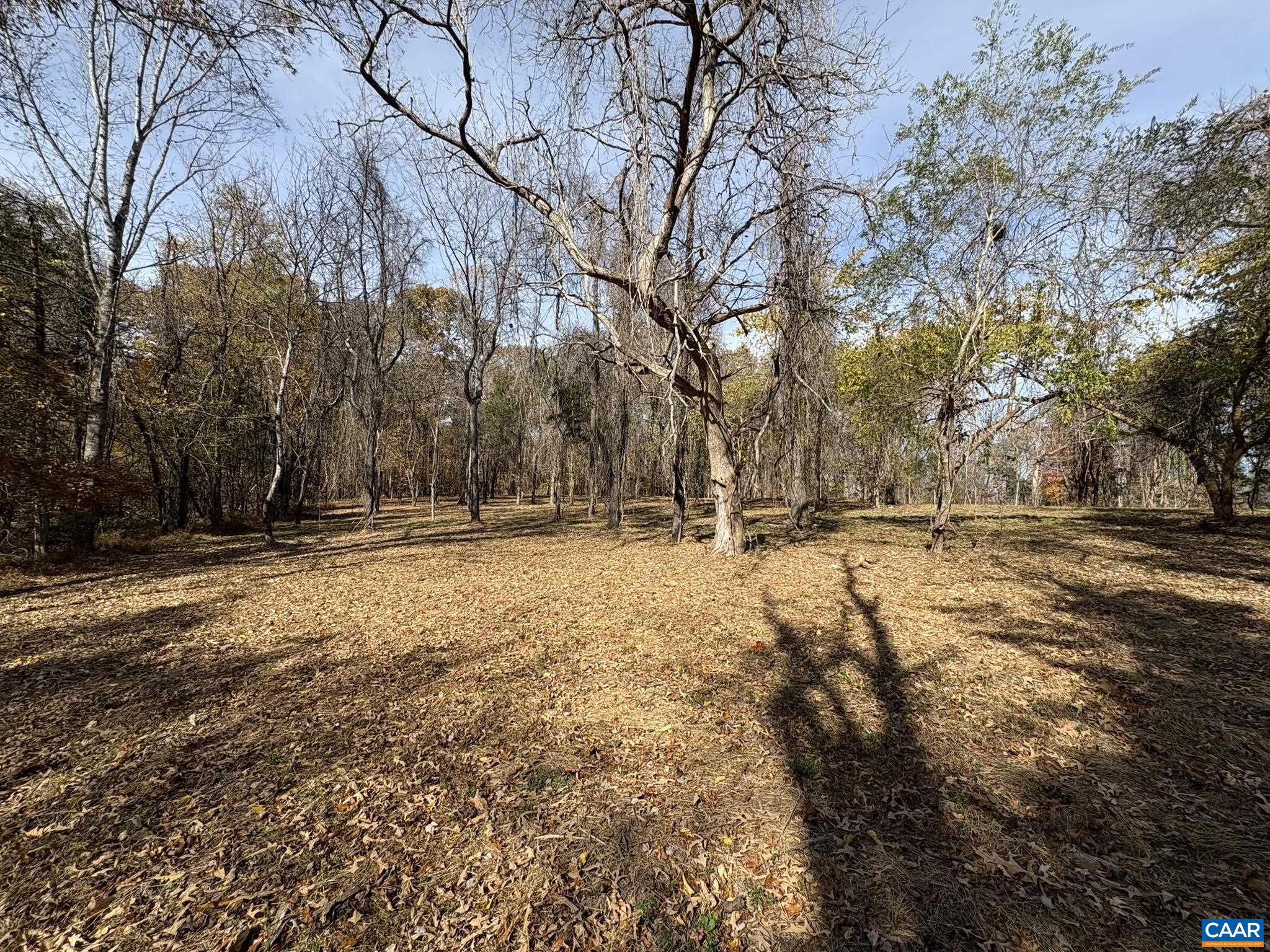 NONE AVAILABLE - Land