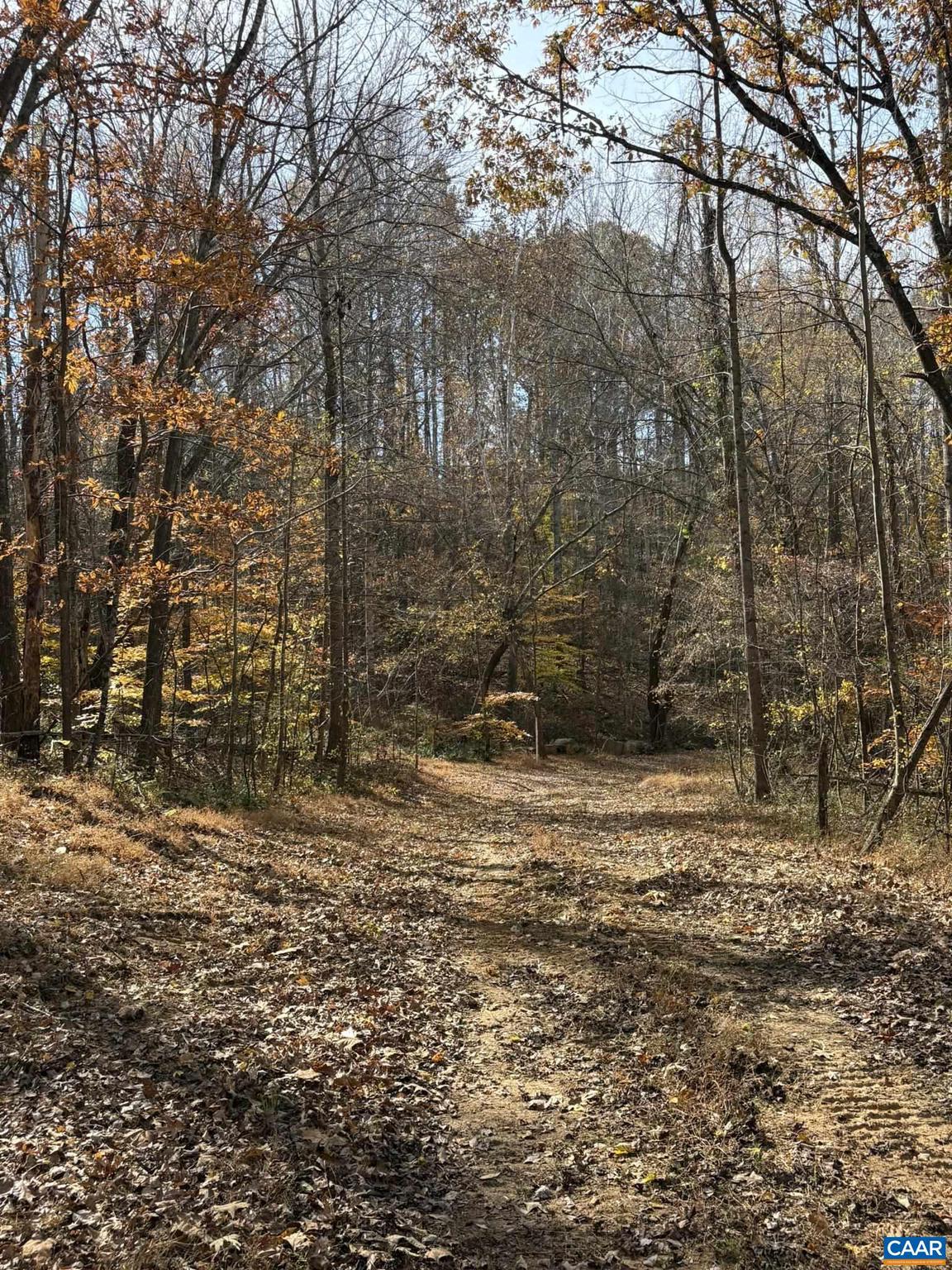 NONE AVAILABLE - Land