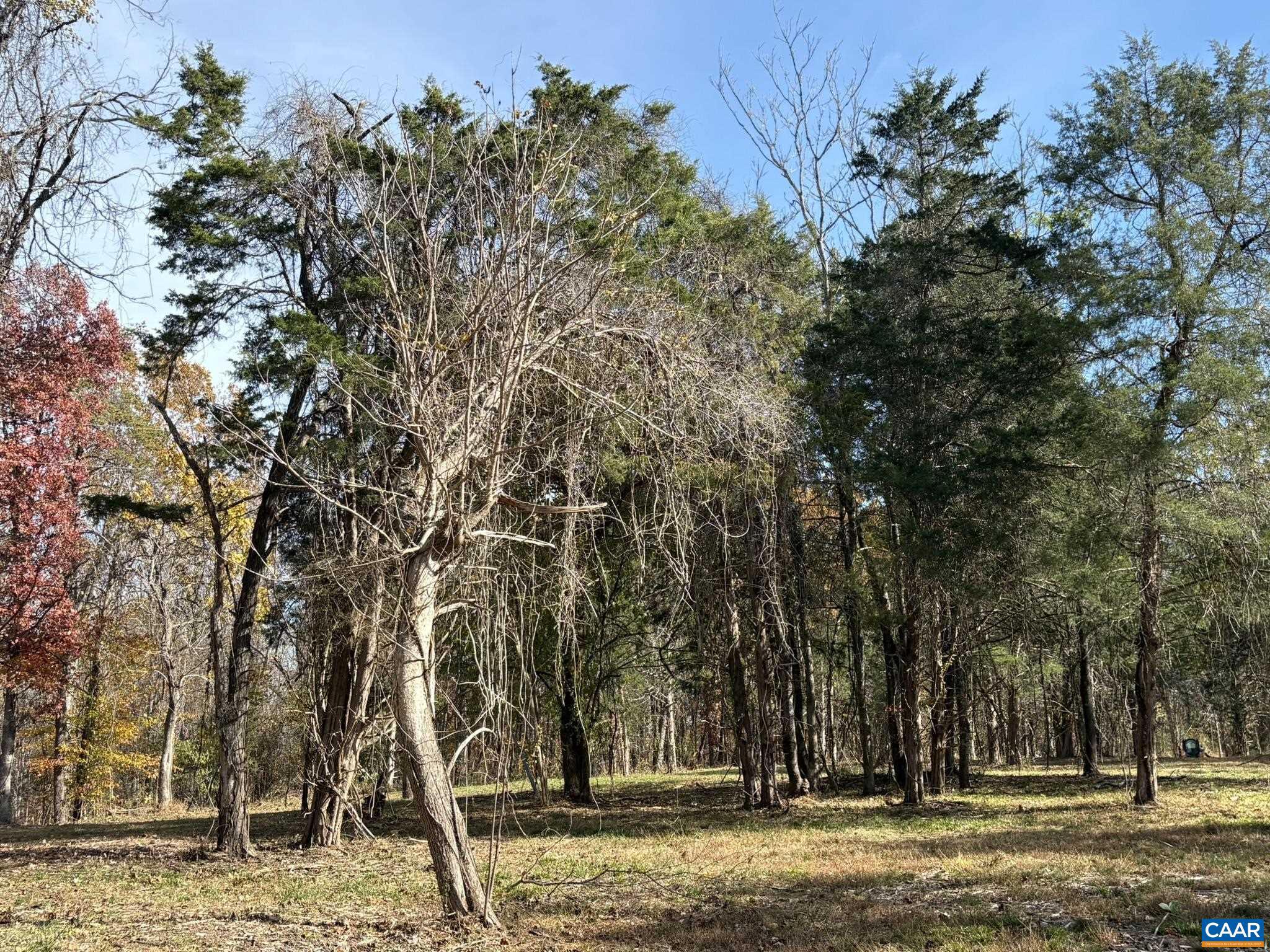 NONE AVAILABLE - Land