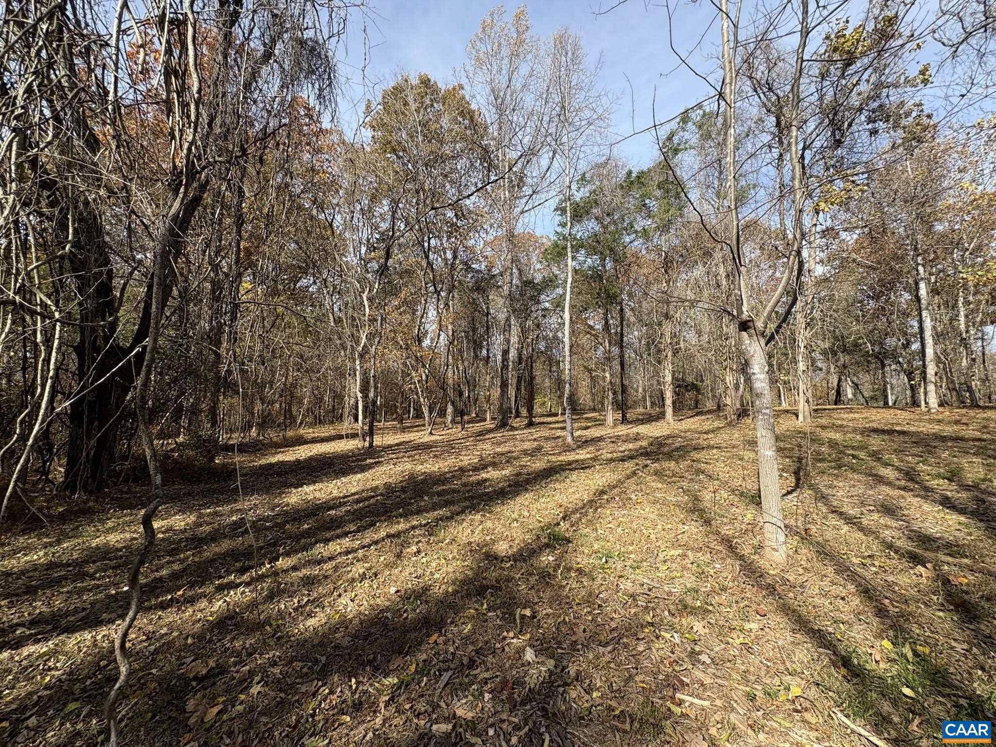 NONE AVAILABLE - Land