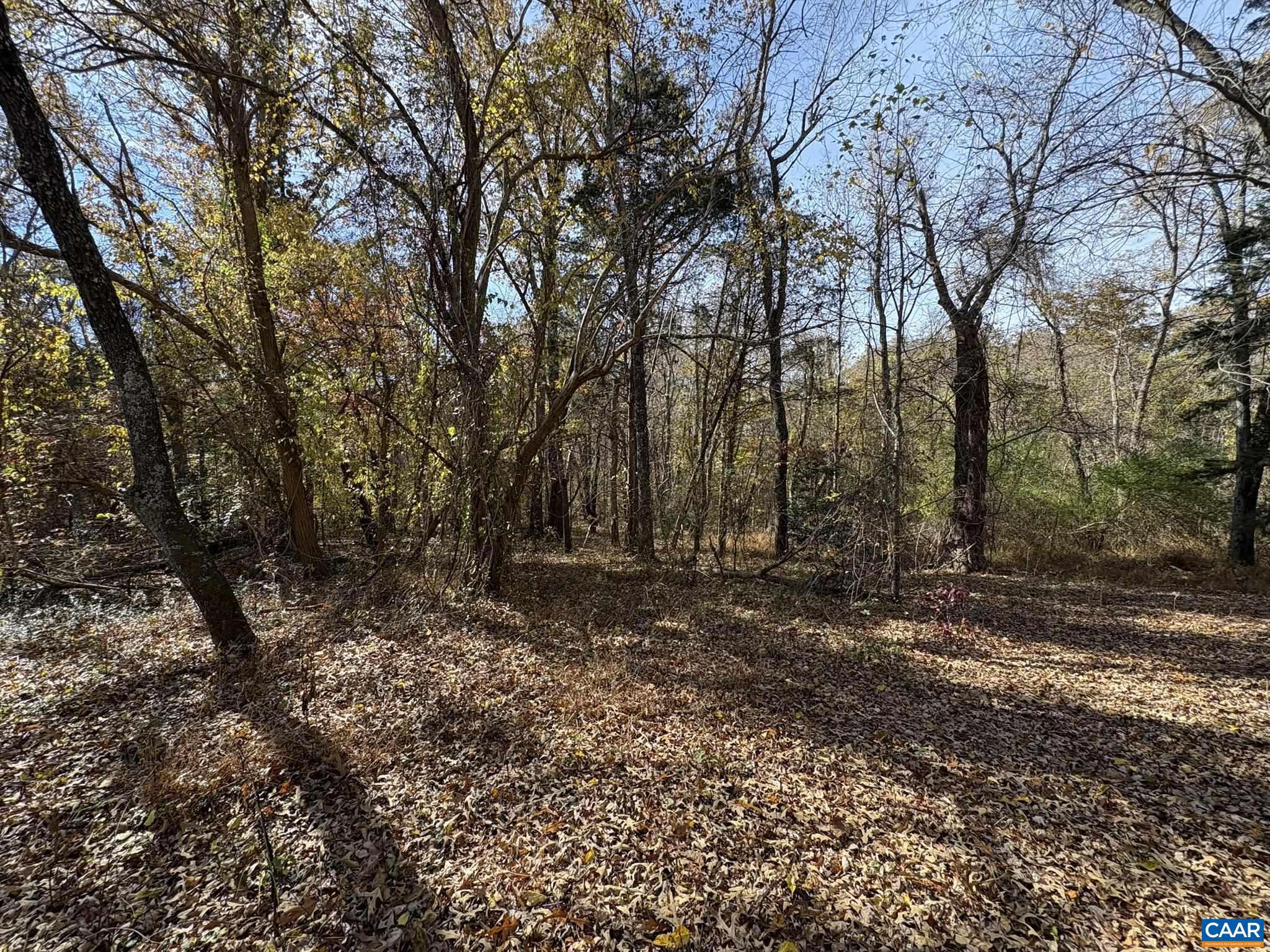 NONE AVAILABLE - Land