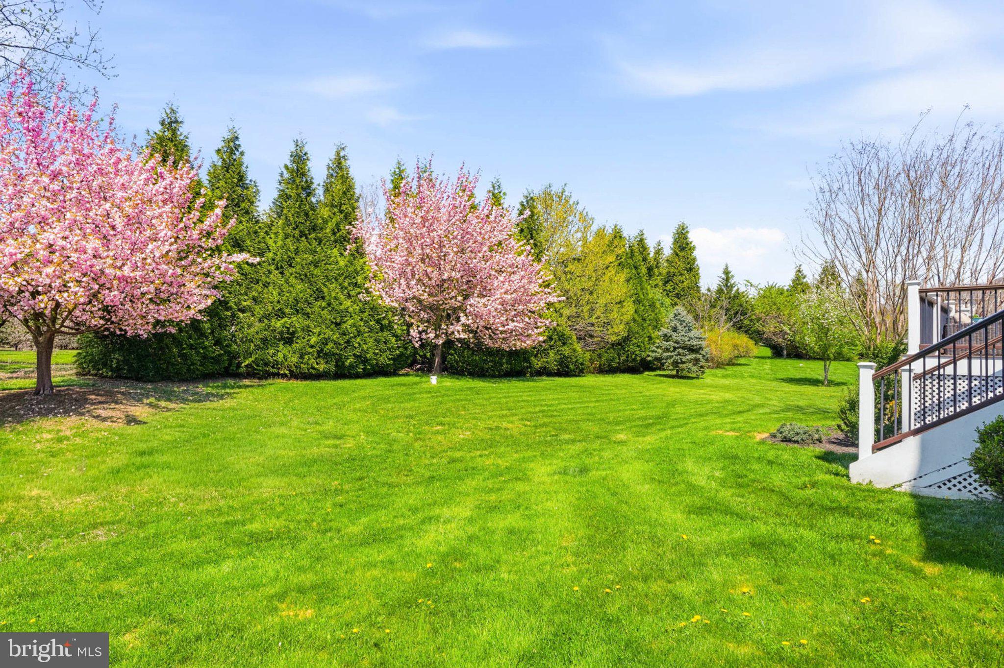 GLENELG ESTATES - Residential