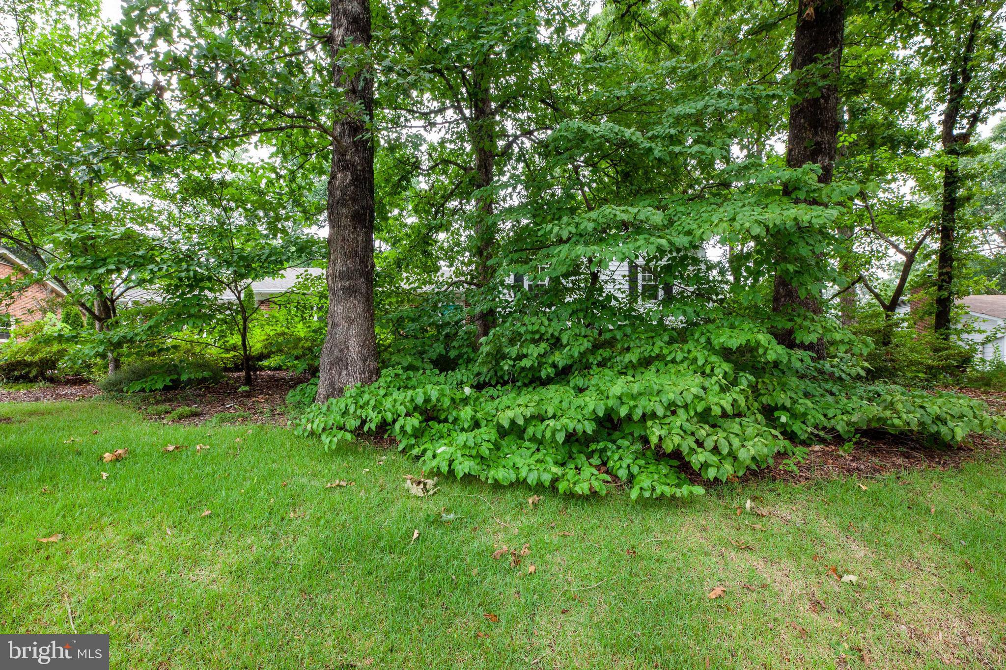 CLEARVIEW HEIGHTS - Residential