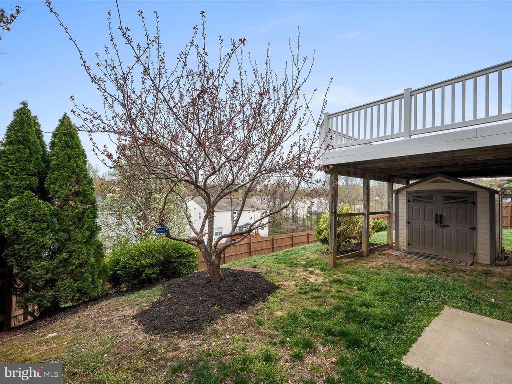 listing image 52