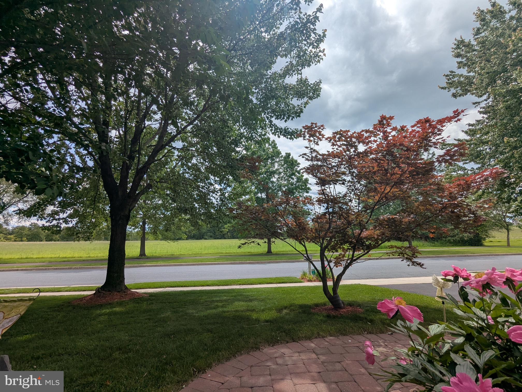 255 FARMVIEW DRIVE
